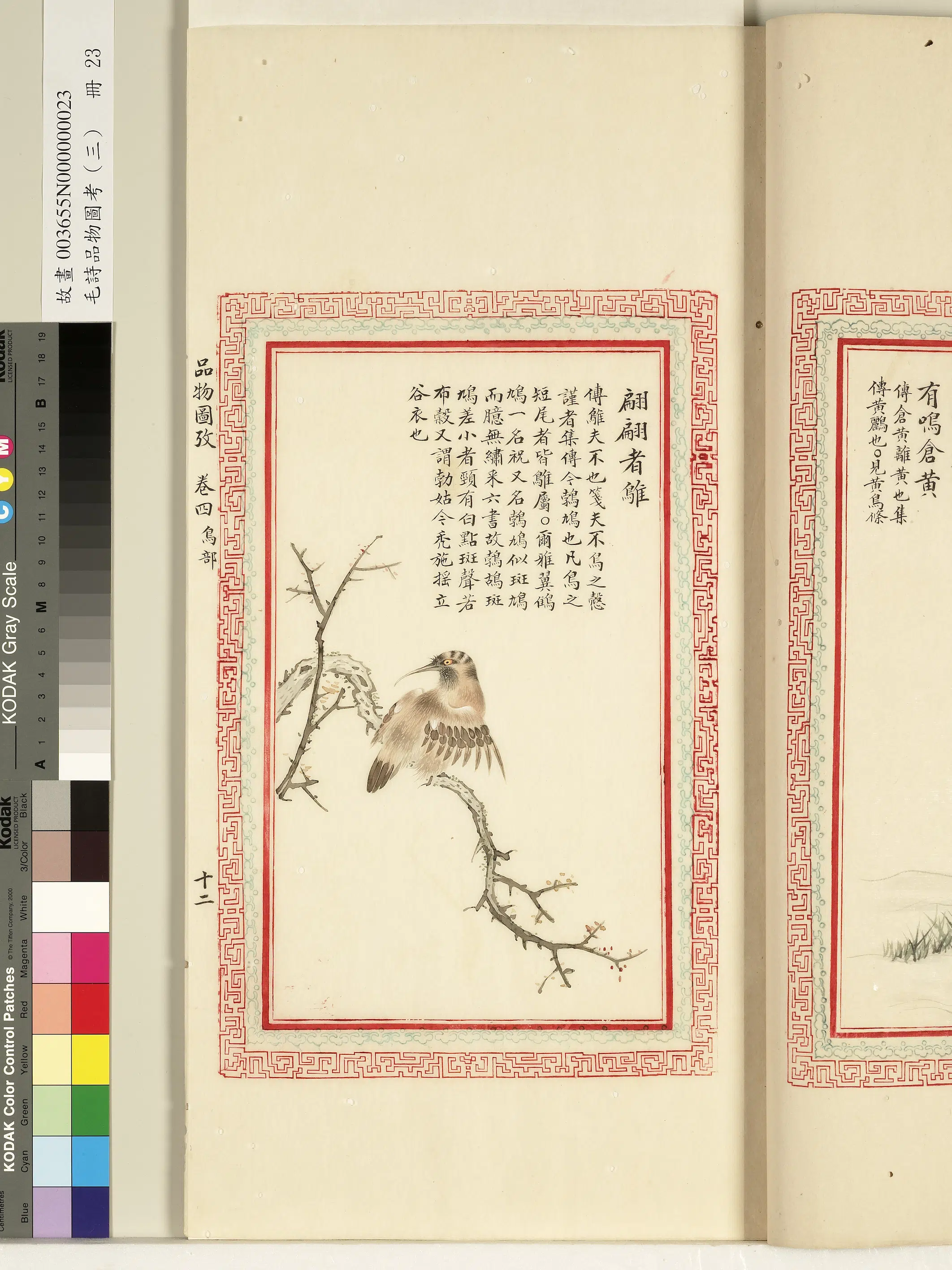 清代《毛诗品物图考(三)册-1》 第38张 清代《毛诗品物图考(三)册-1》 第38张