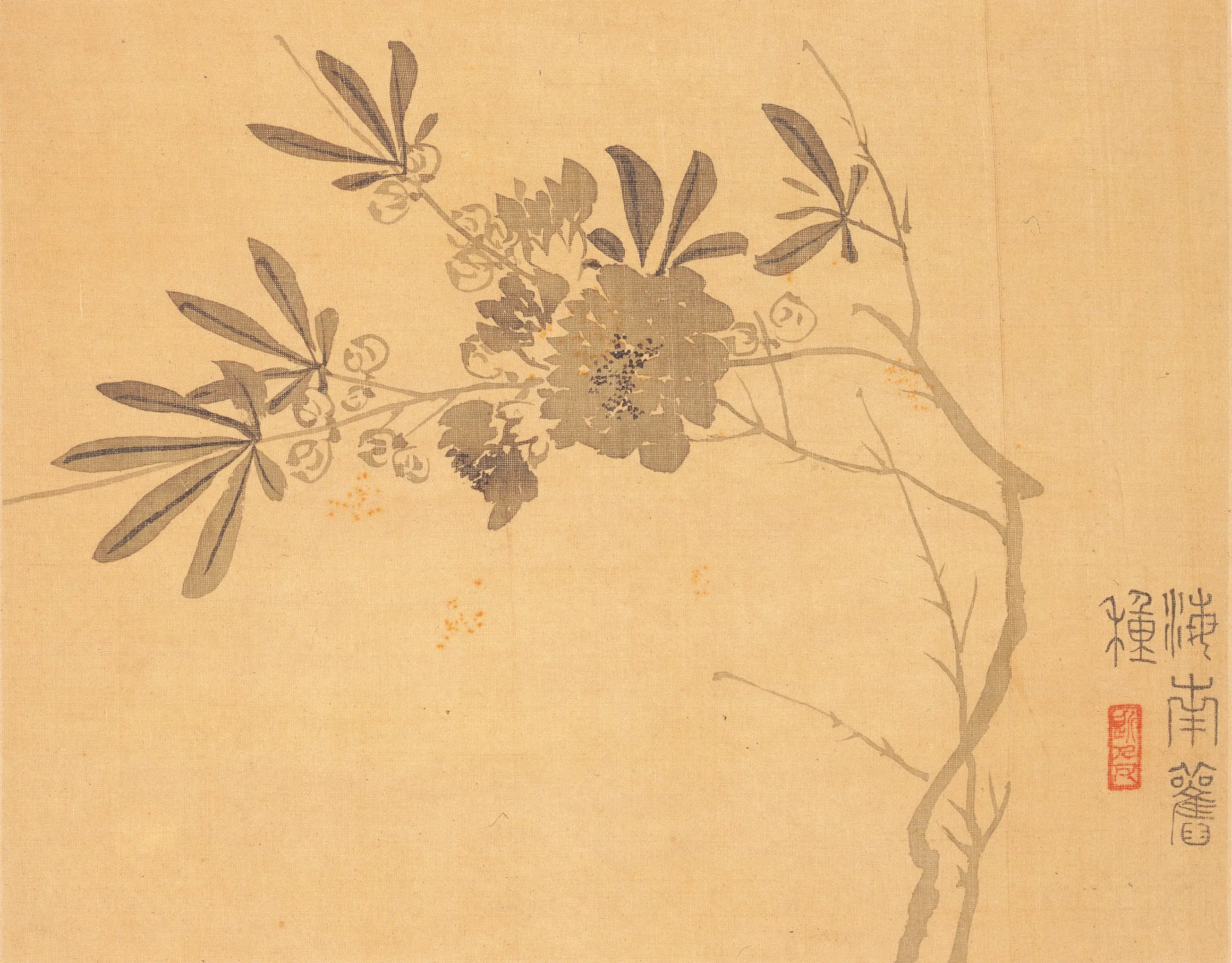 清代【汪士慎】《花卉册》 第8张 清代【汪士慎】《花卉册》 第8张