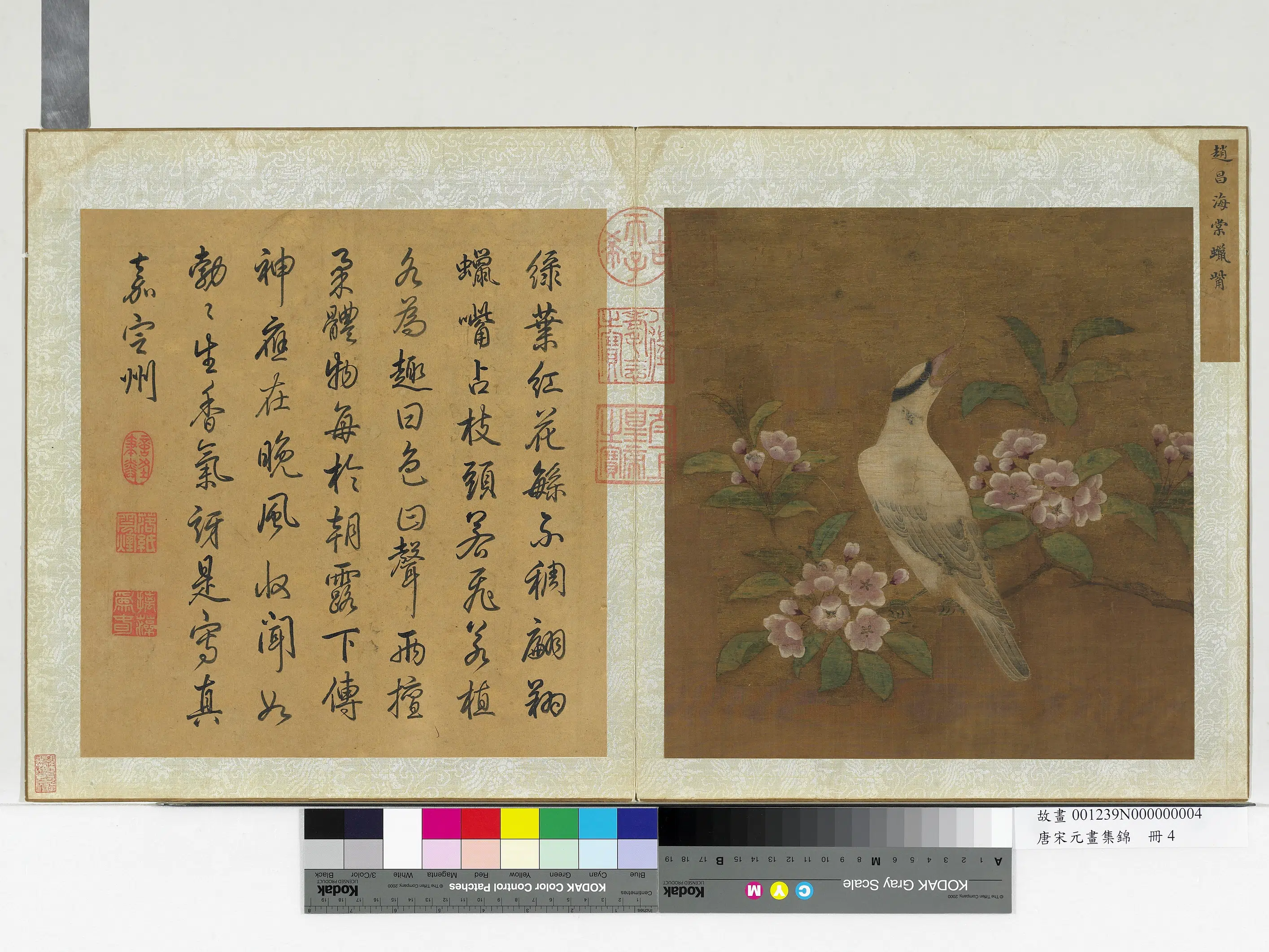 北宋【赵昌】《海棠蜡觜图-唐宋元画集锦册》 第1张