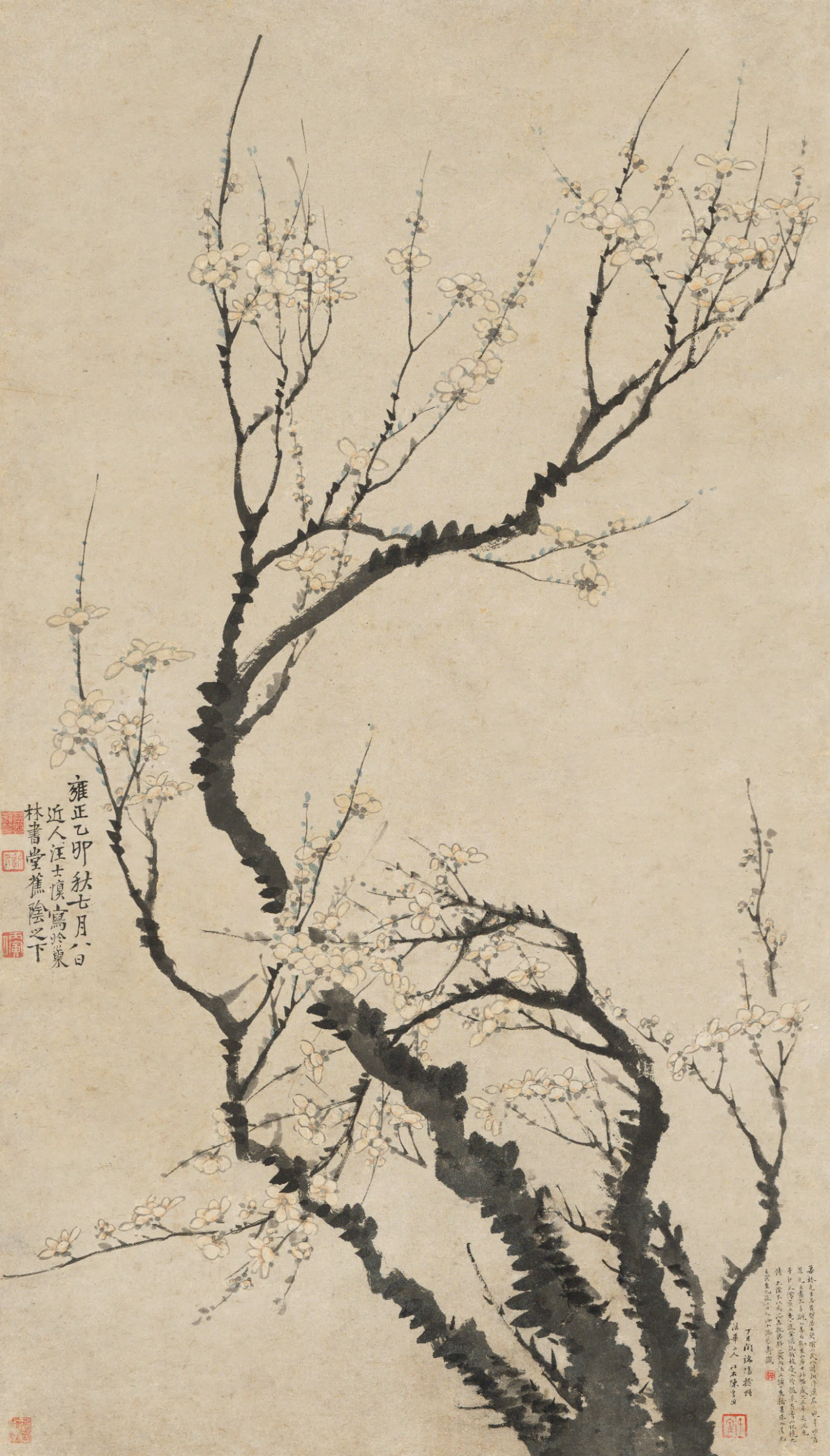 清代【汪士慎】《梅花轴》 第1张