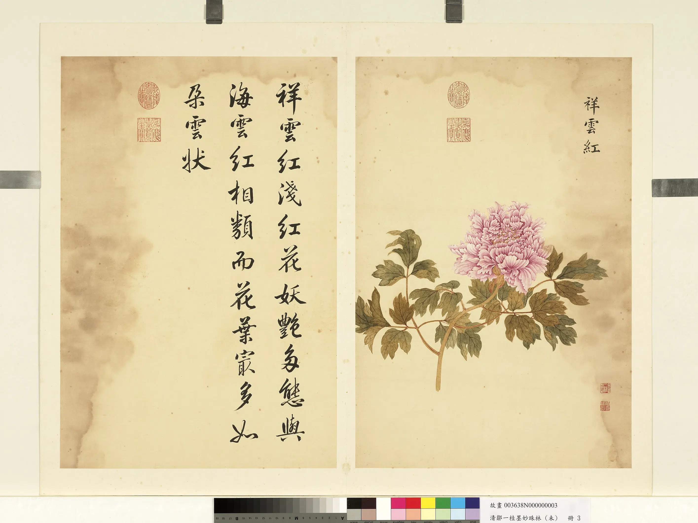 清代【邹一桂】《墨妙珠林（未）册》 第13张