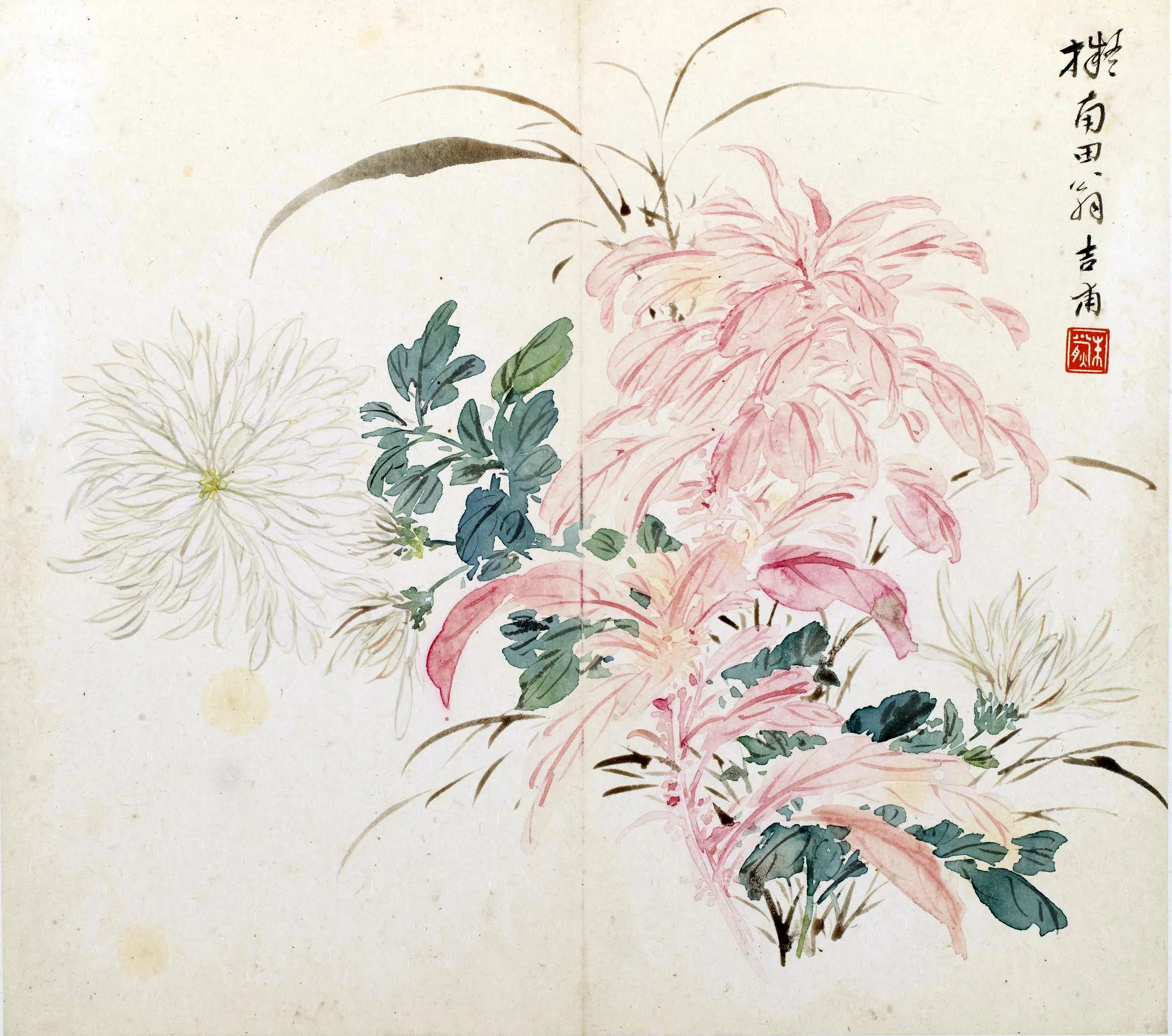 清代【朱熊】《花卉册》 第2张