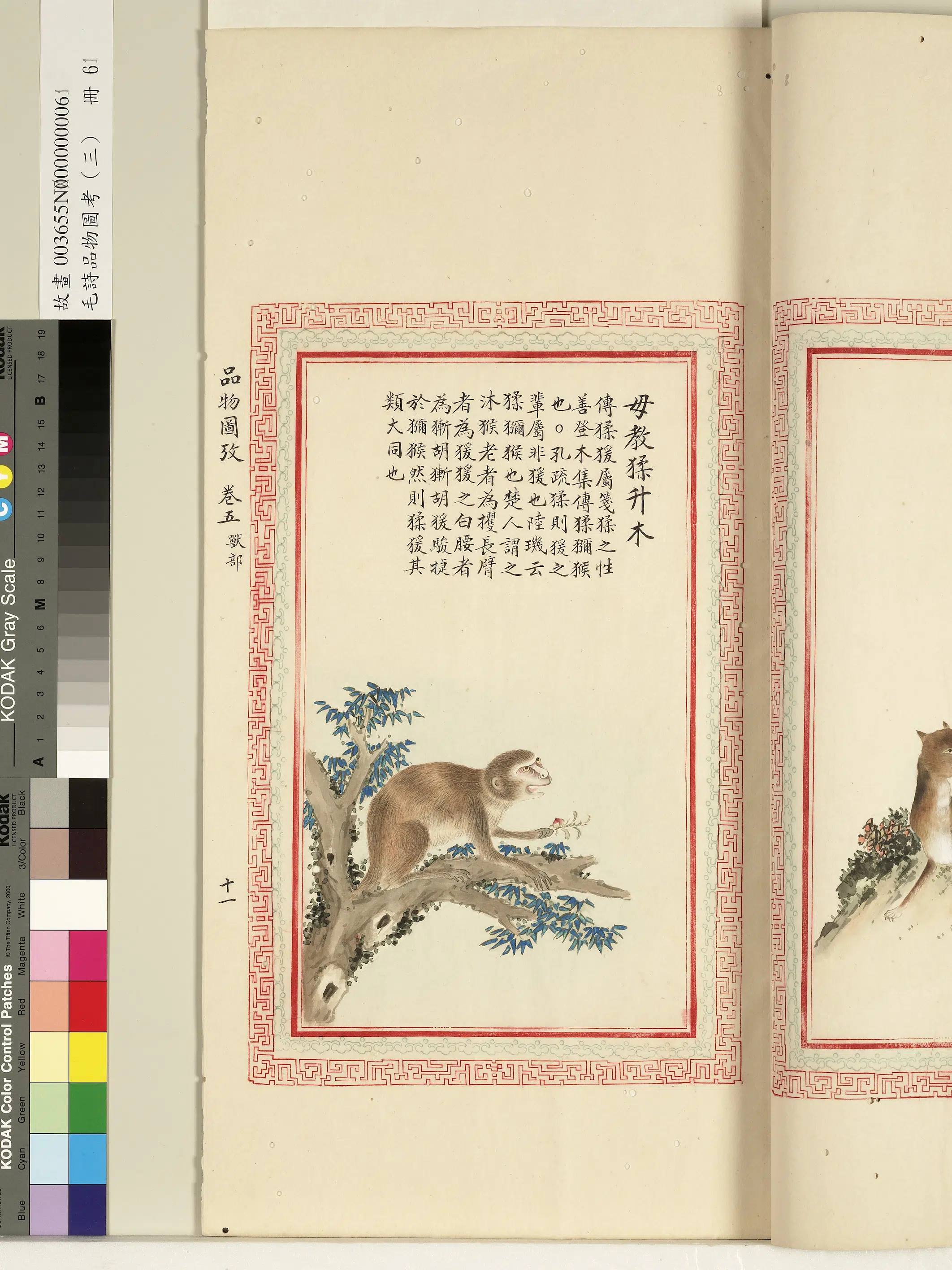 清代《毛诗品物图考(三)册-1》 第29张 清代《毛诗品物图考(三)册-1》 第29张