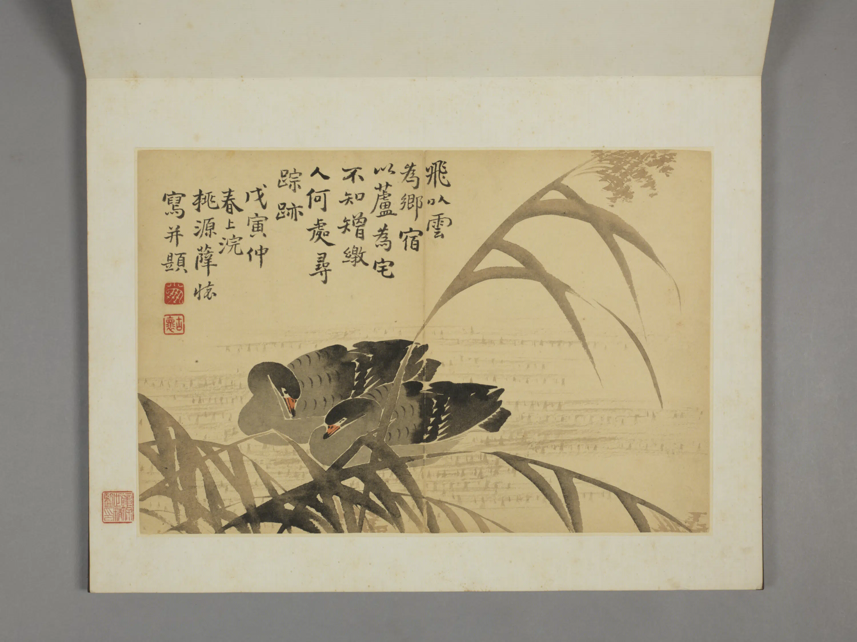 清代【薛怀】《杂画图册》 第5张
