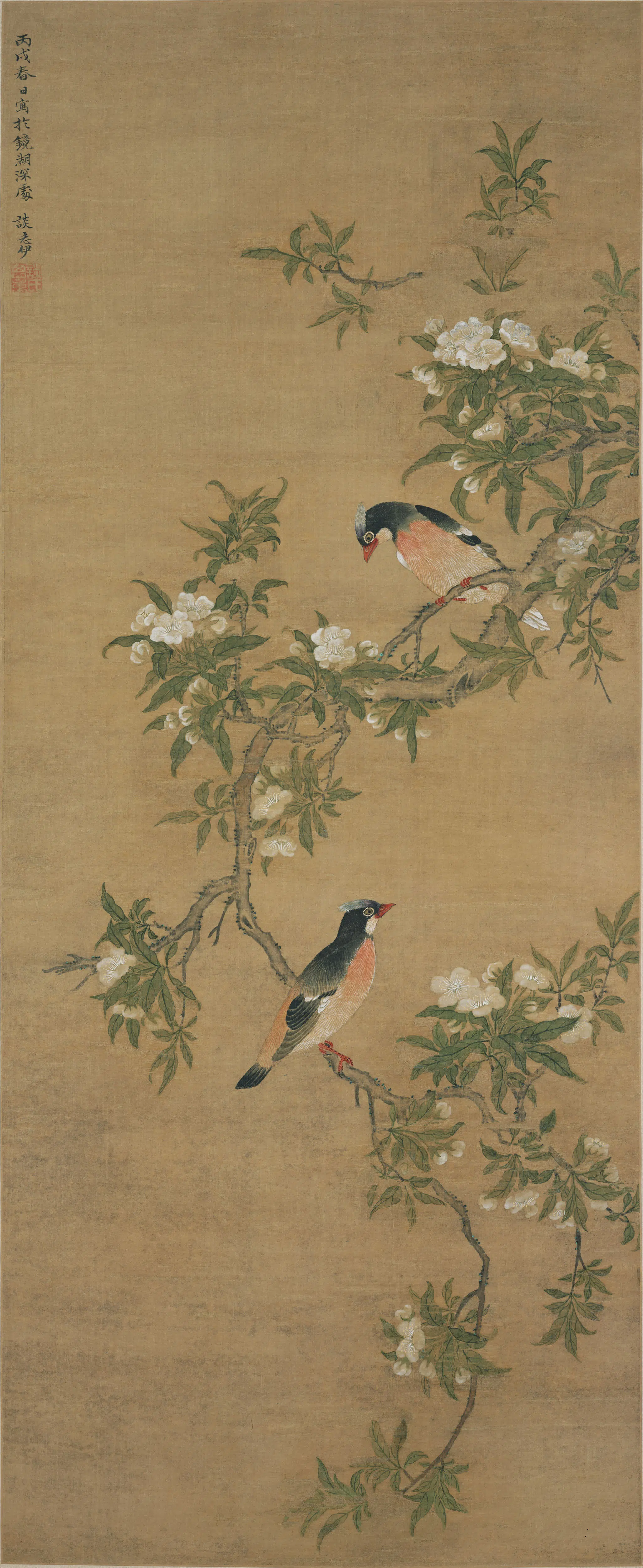 明朝【谈志伊】《梨花双鸟图轴》