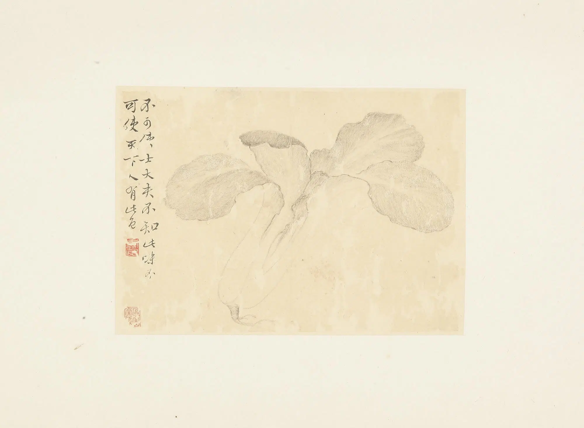 清朝【边寿民】《花卉册页》 第5张
