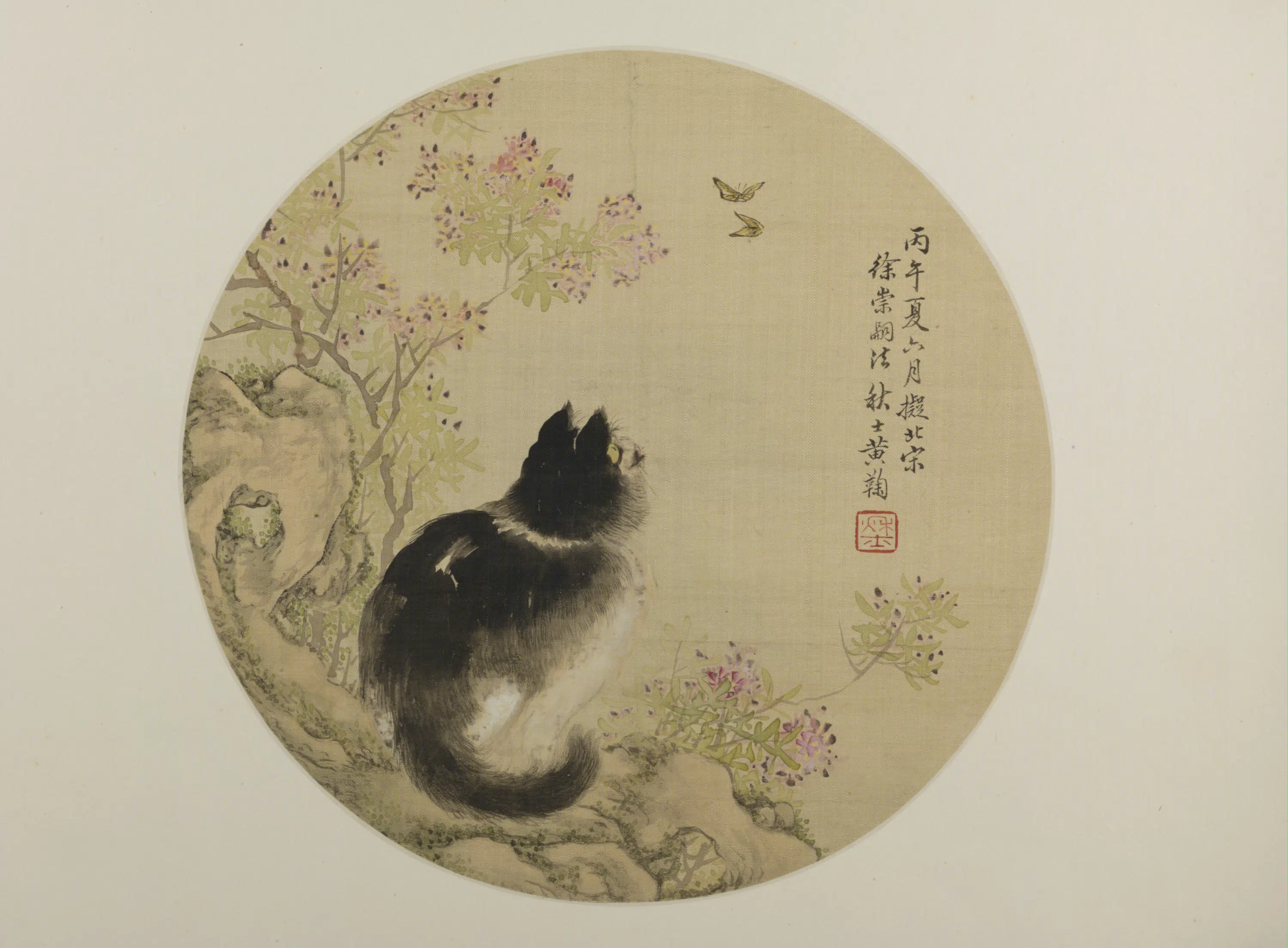 清代【黄鞠】《猫蝶纨扇页》