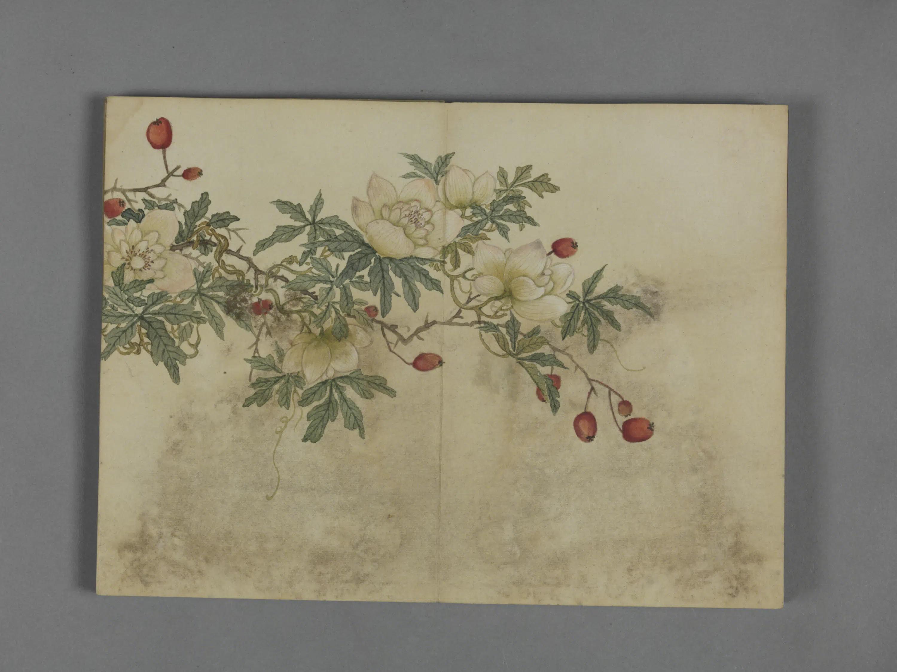 清代【蒋溥】《花卉图册（8开）》 第4张