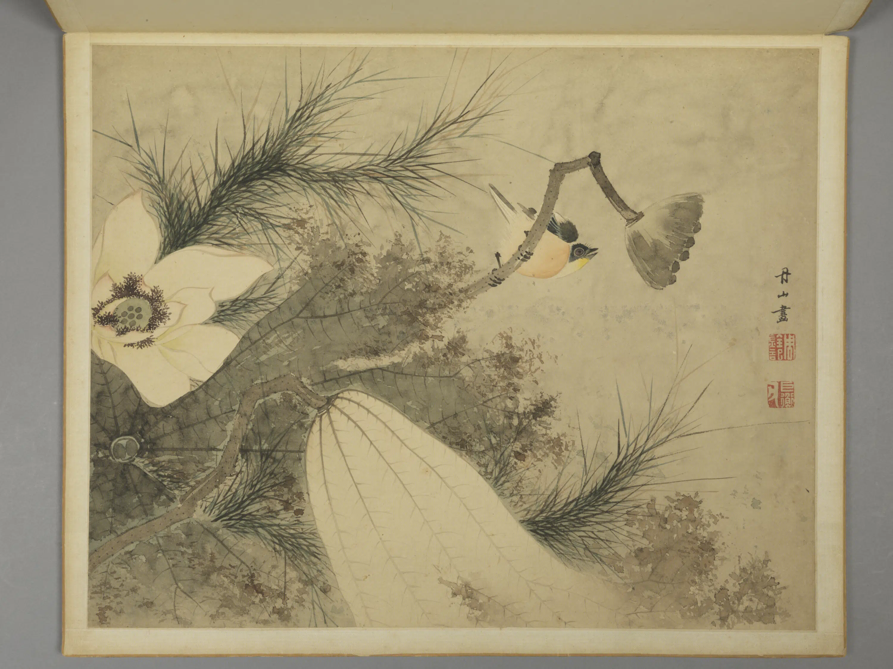 清代【周铨】《花鸟昆虫图册（12开）》 第11张