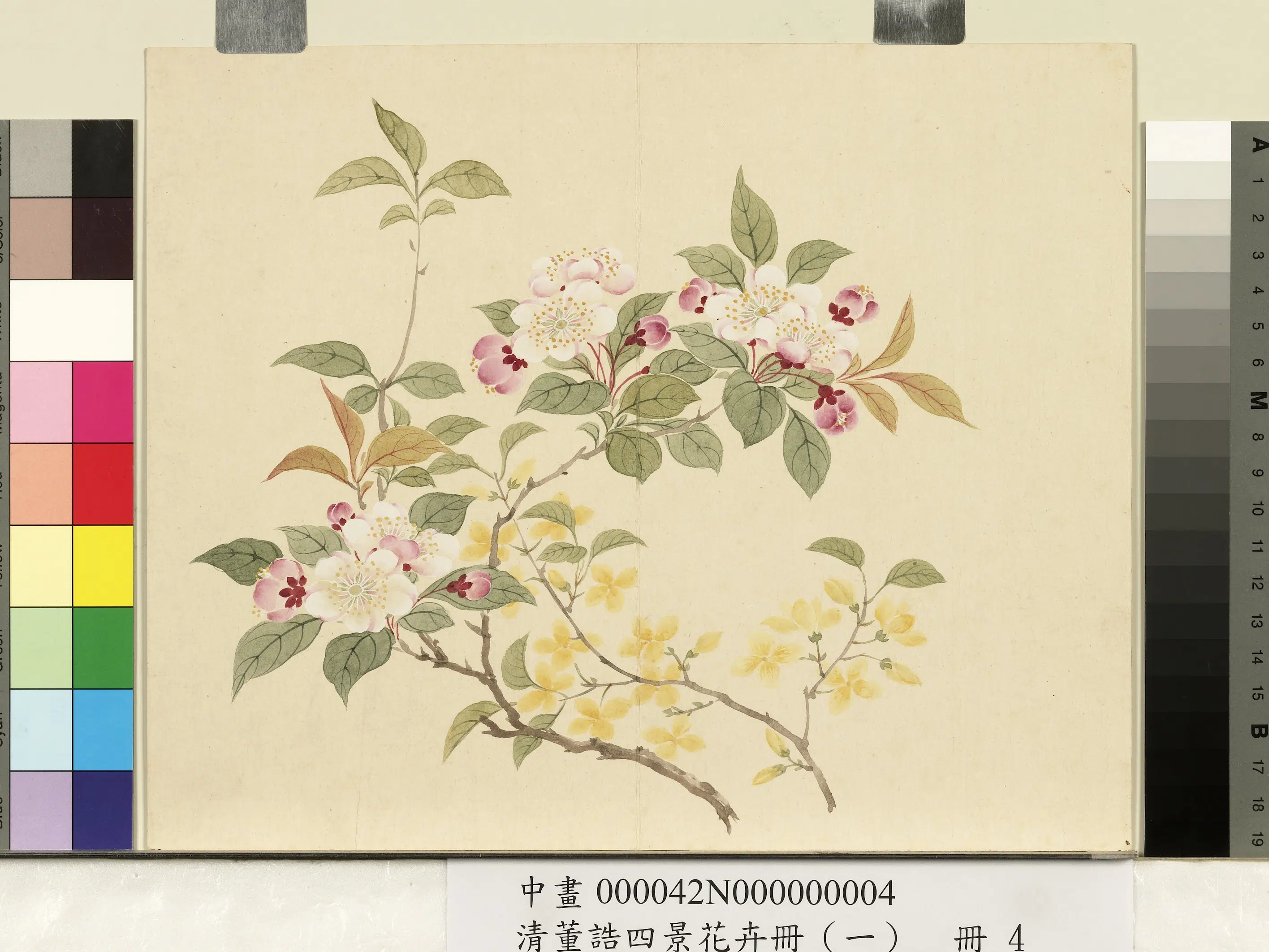 清代【董诰】《四景花卉（一）册》 第10张