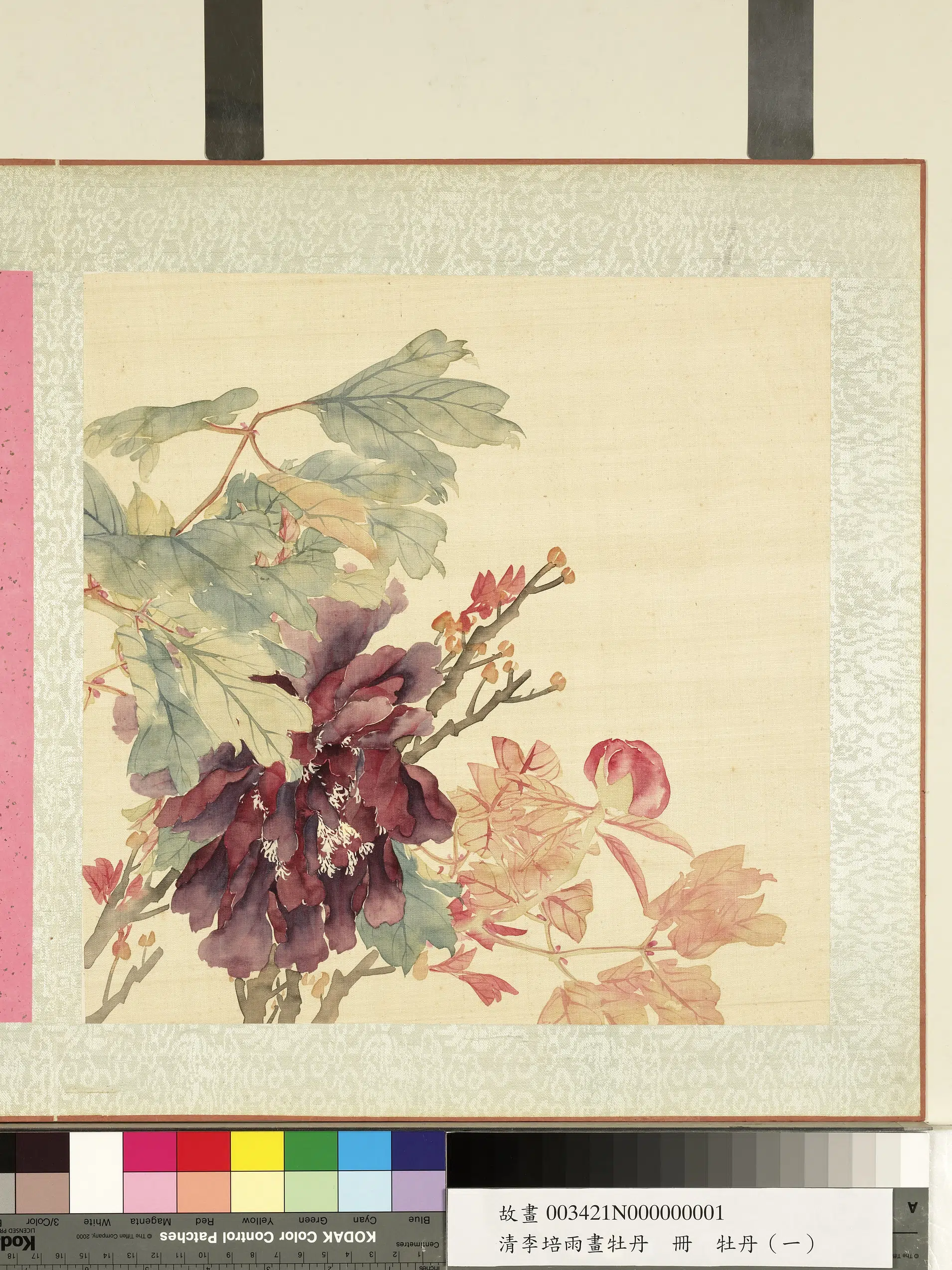 清代【李培雨】《画牡丹册》 第1张 清代【李培雨】《画牡丹册》 第1张