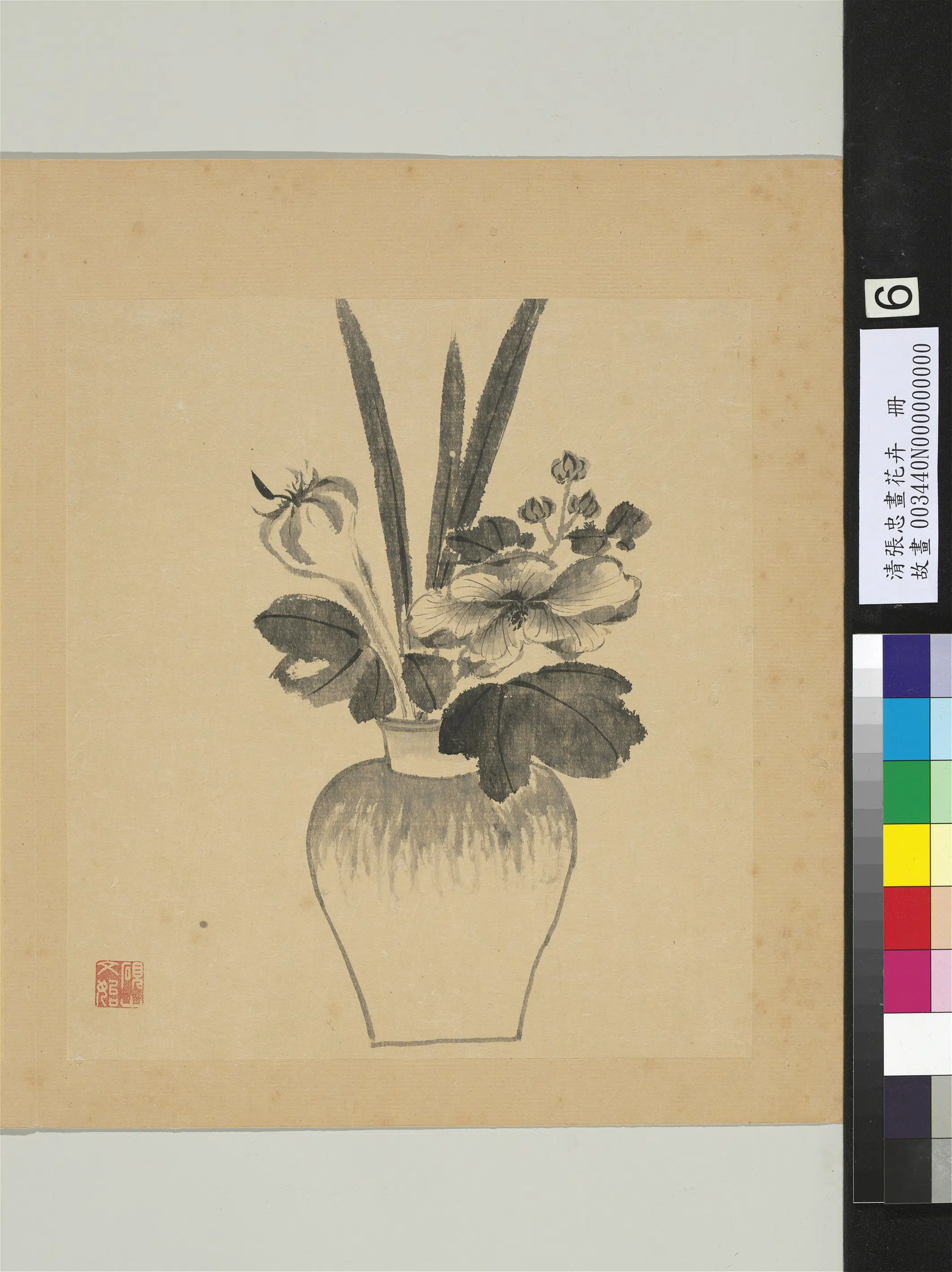 清代【张忠】《画花卉册-蜀葵》