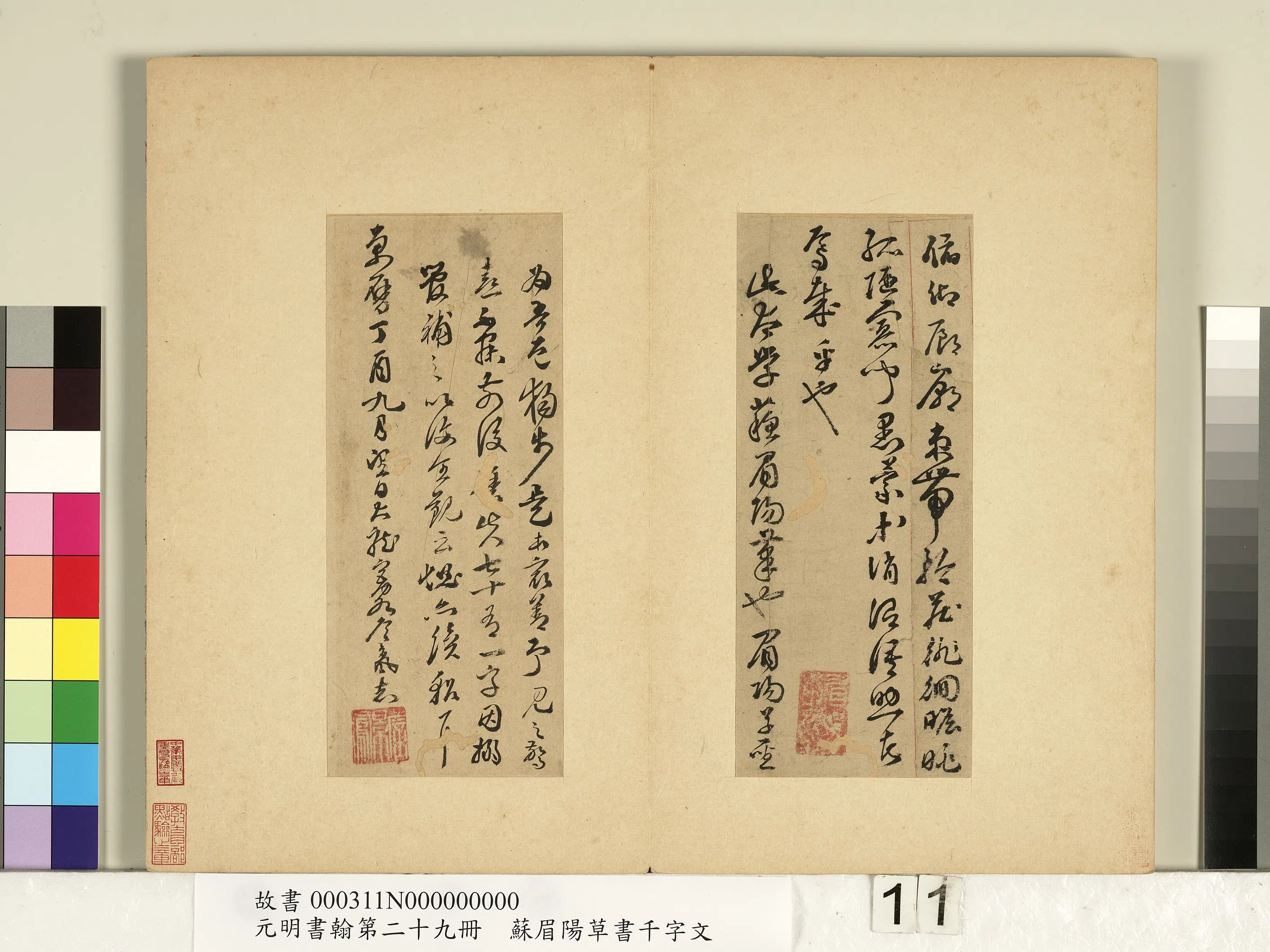 明朝【苏眉阳】《元明书翰第二十九册-草书千字文》 第3张