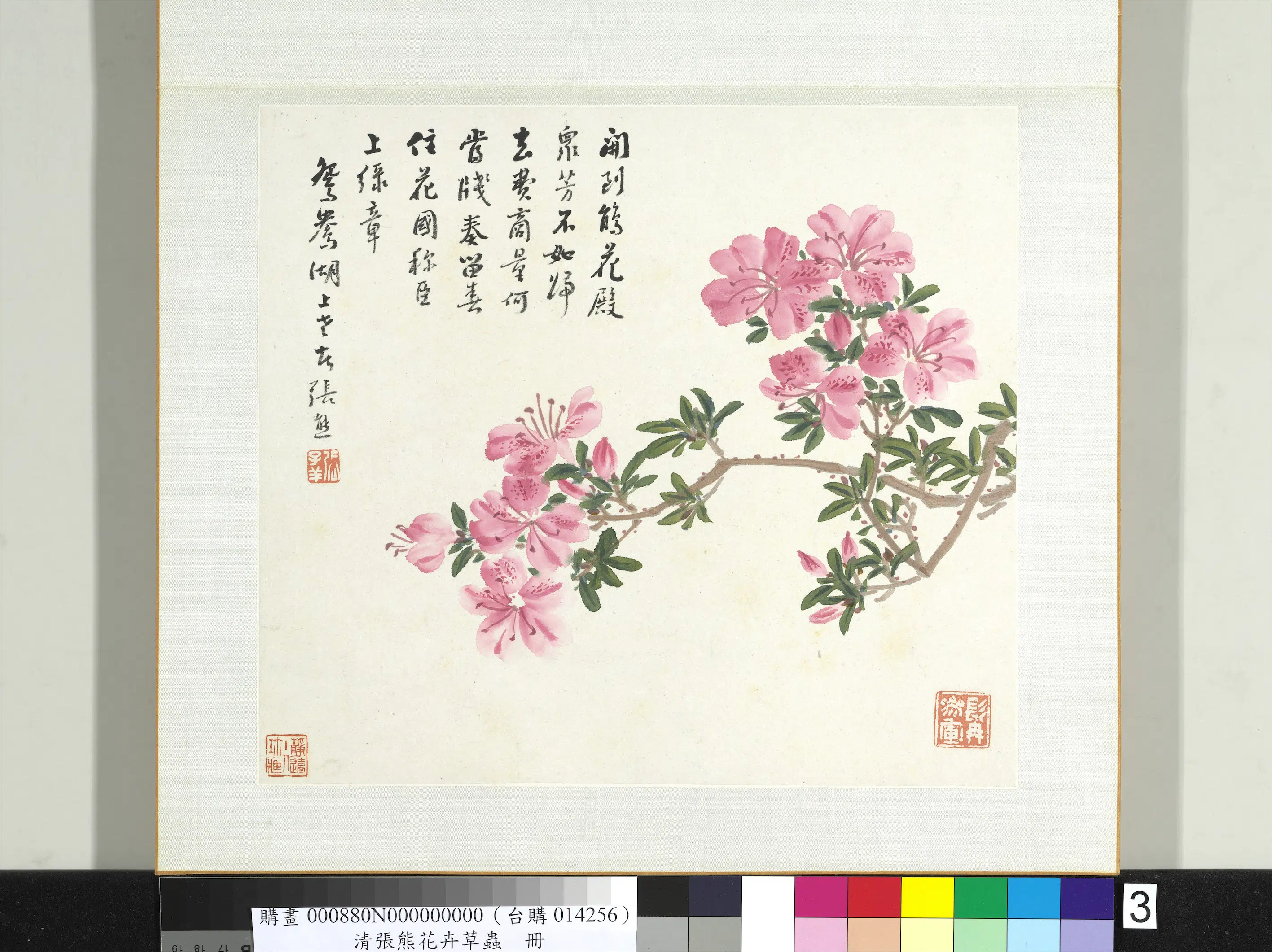 清代【张熊】《花卉草虫册》 第5张 清代【张熊】《花卉草虫册》 第5张