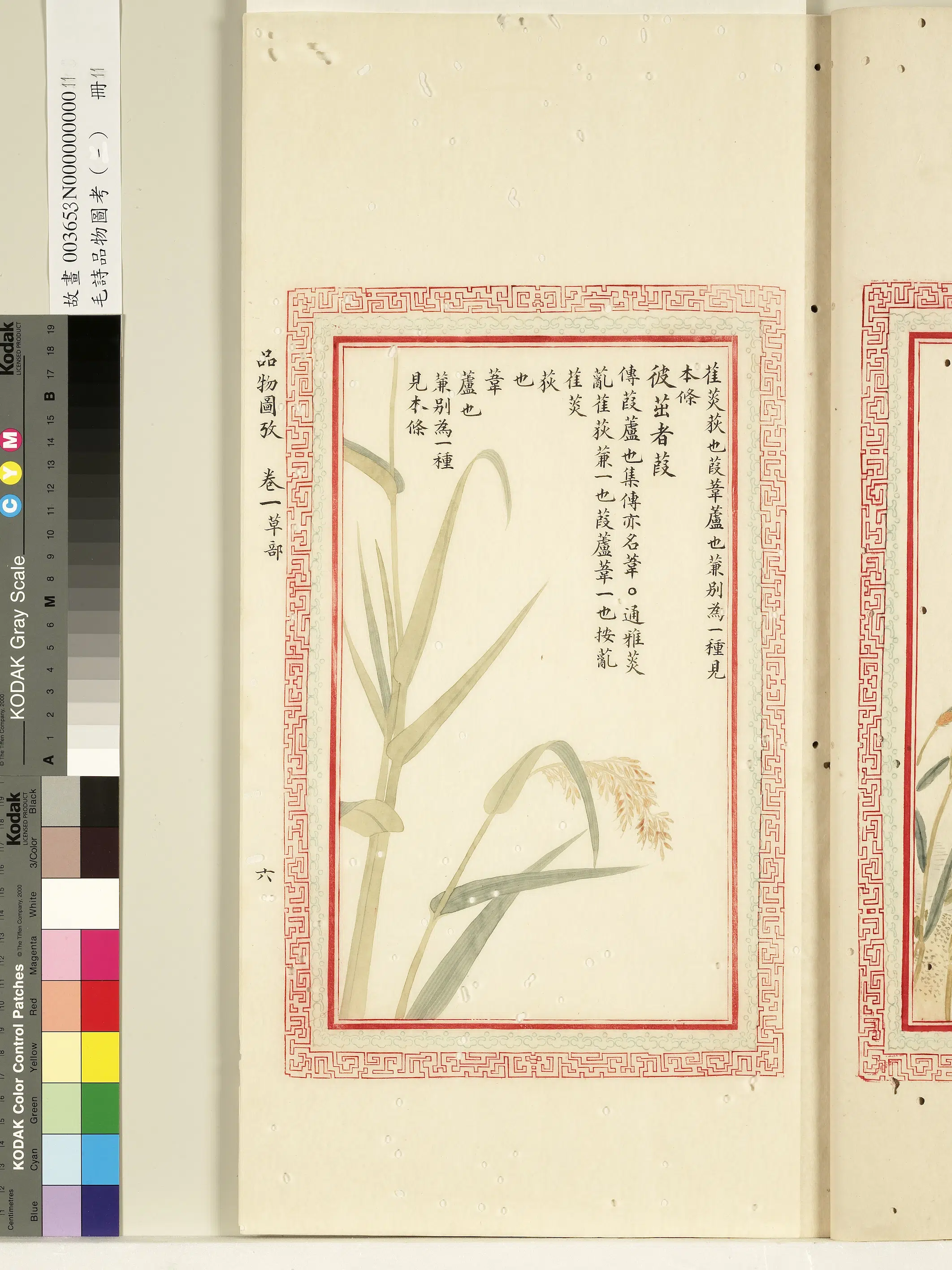 清代《毛诗品物图考(一)册-1》 第23张 清代《毛诗品物图考(一)册-1》 第23张