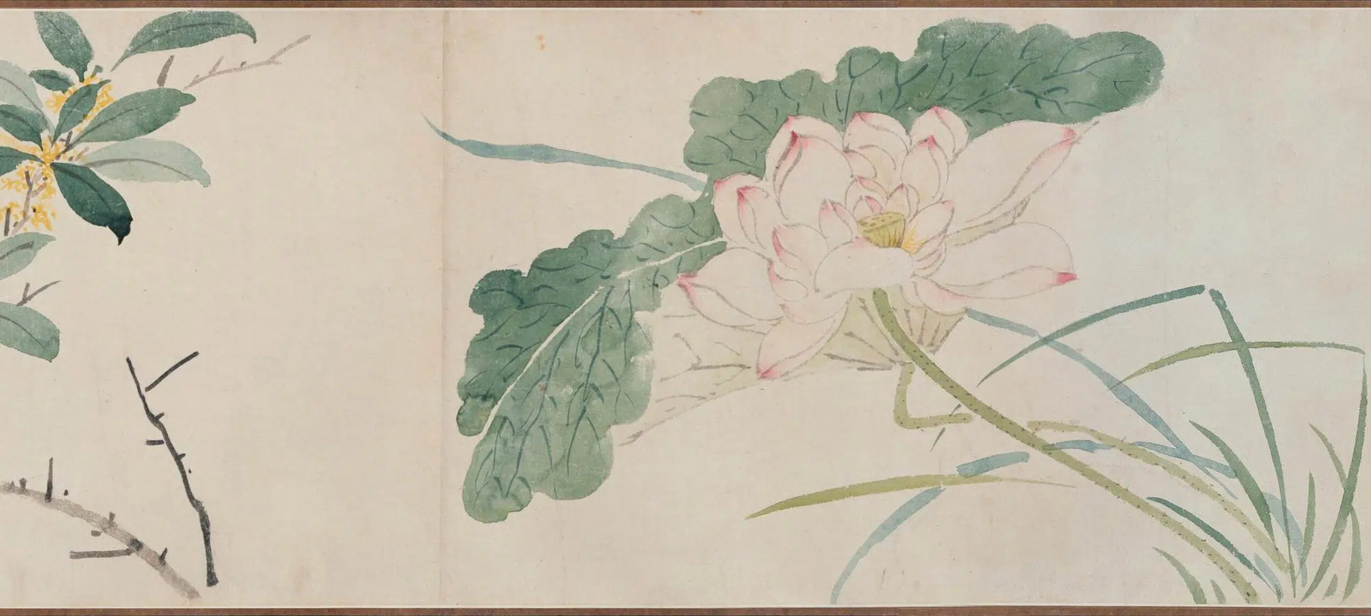 明朝【孙克弘】《花卉图卷》 第5张 明朝【孙克弘】《花卉图卷》 第5张