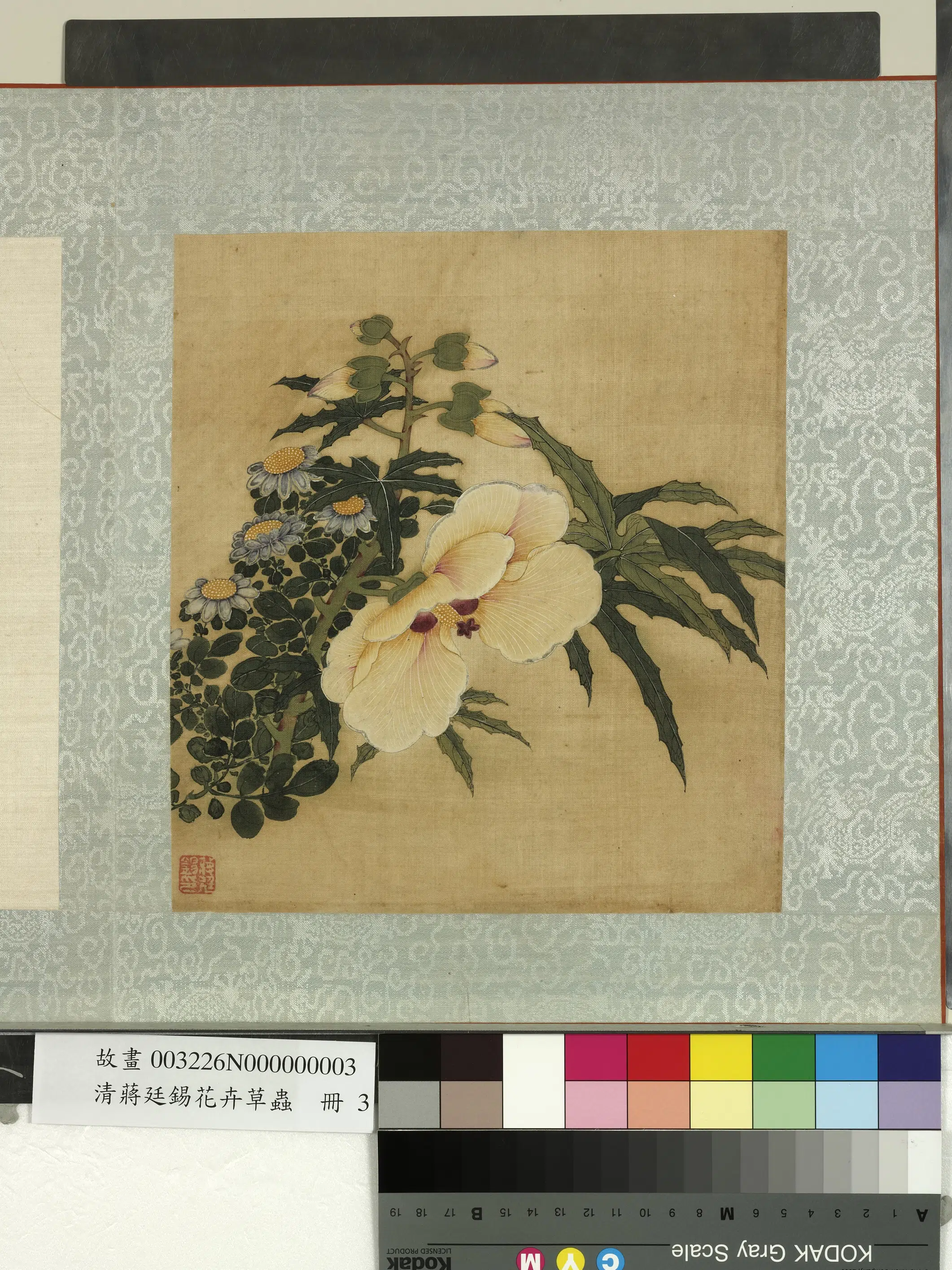 清代【蒋廷锡】《花卉草虫册》 第6张 清代【蒋廷锡】《花卉草虫册》 第6张
