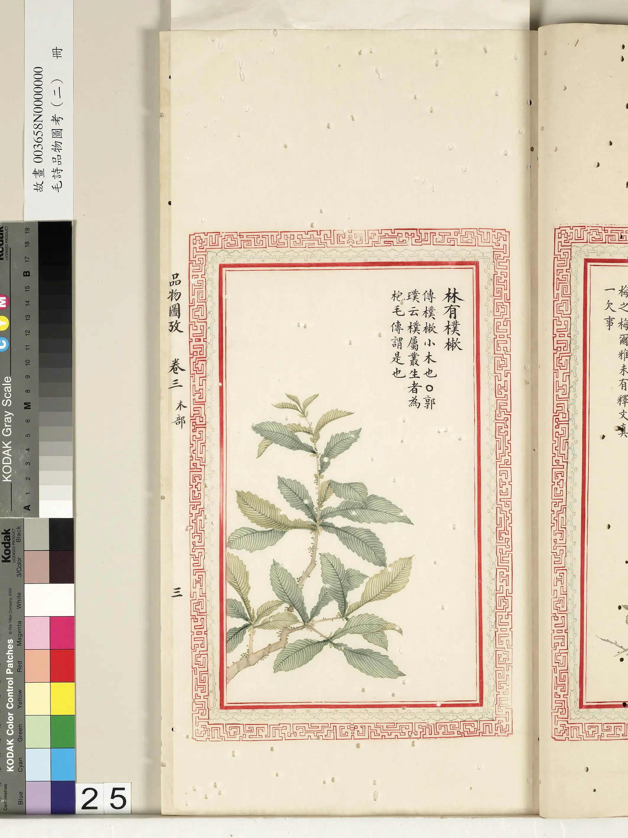 清朝【佚名】《毛诗品物图考（二）册-林有朴樕-2》