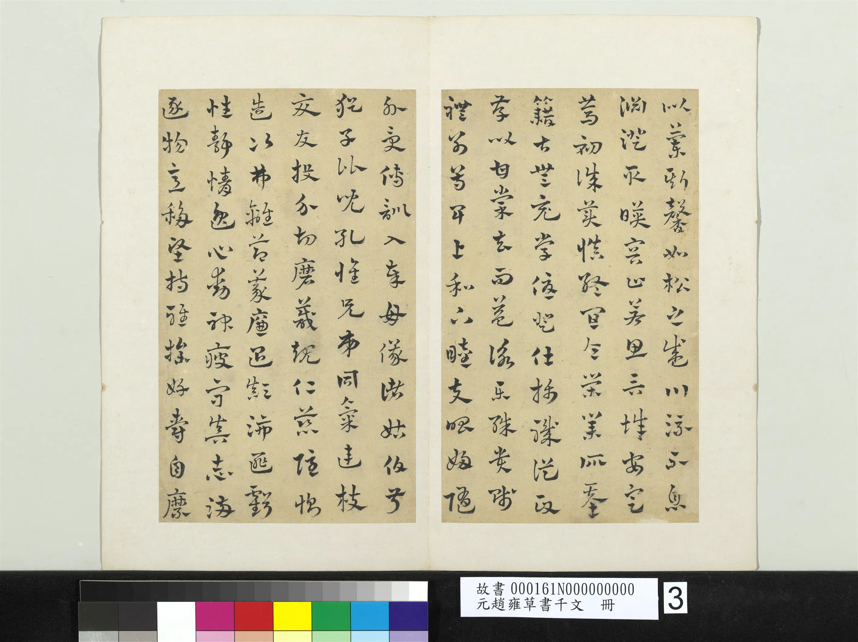 元朝【赵雍】《草书千文册》 第3张 元朝【赵雍】《草书千文册》 第3张