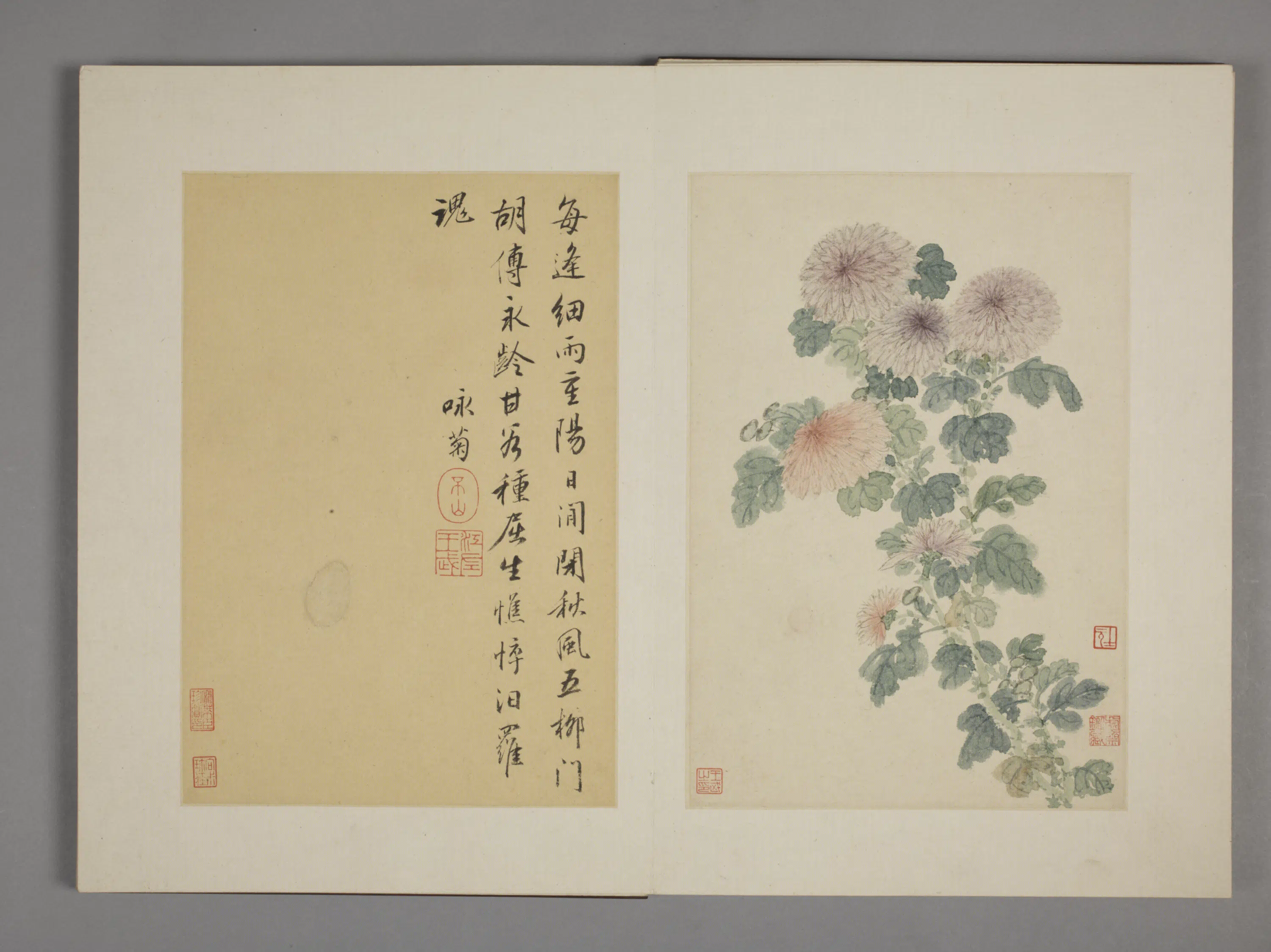 清代【王武】《花卉册九开》 第3张