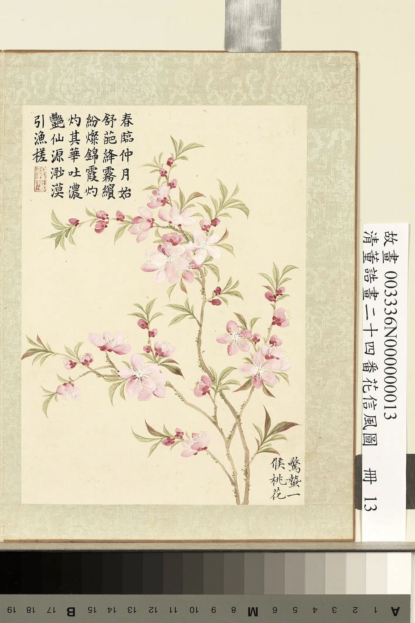 清代【董诰】《画二十四番花信风图册-惊蛰一候桃花》 第1张