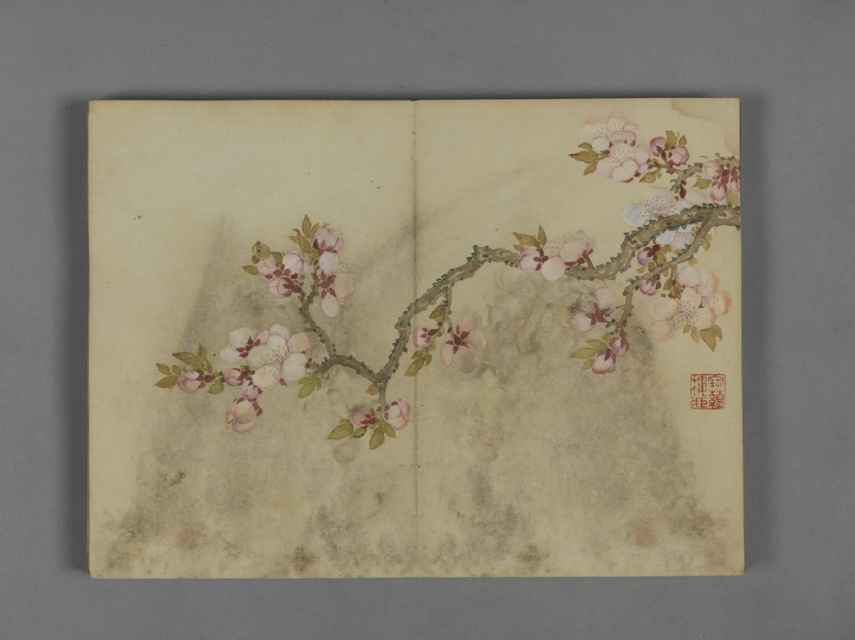清代【蒋溥】《花卉图册（8开）》