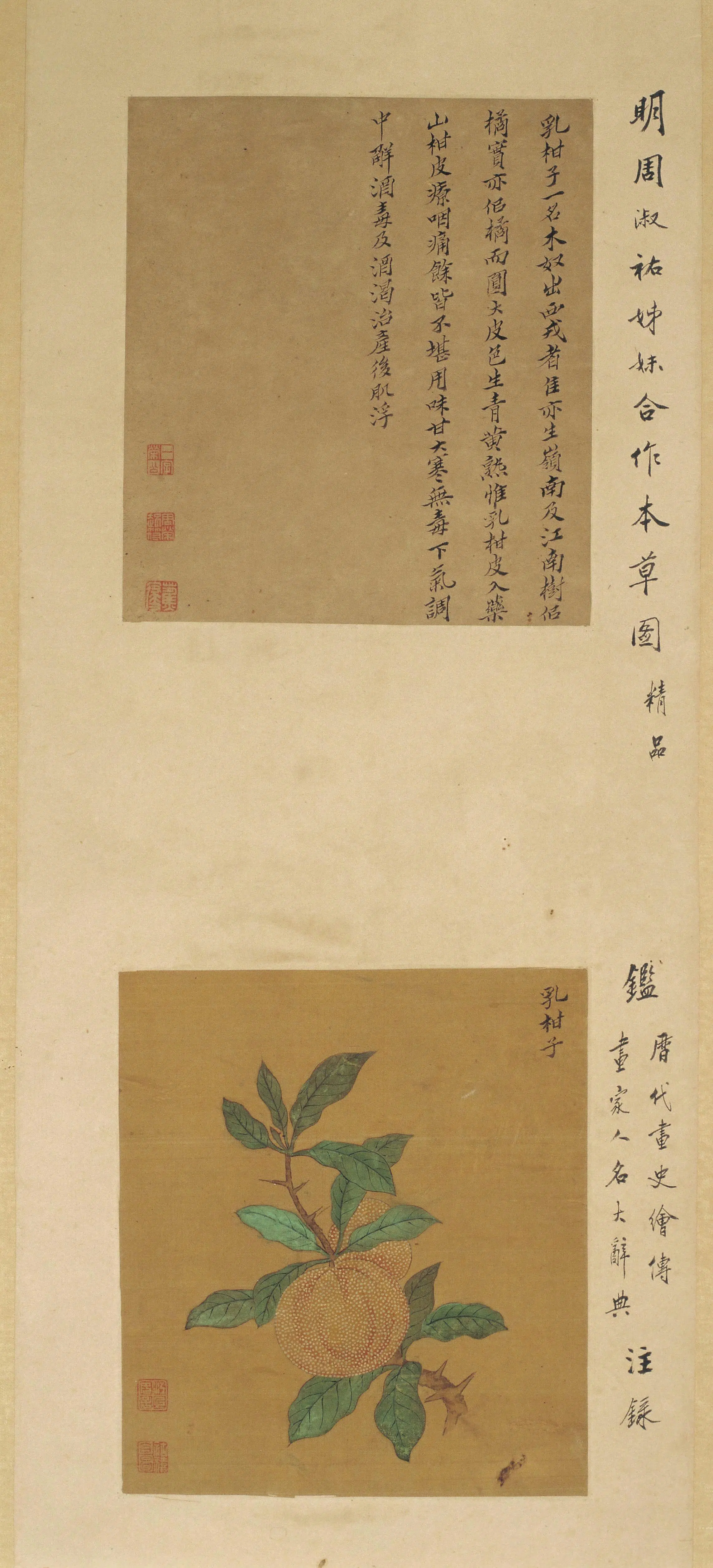 清代【周淑祜】《周淑禧花果图屏》 第4张