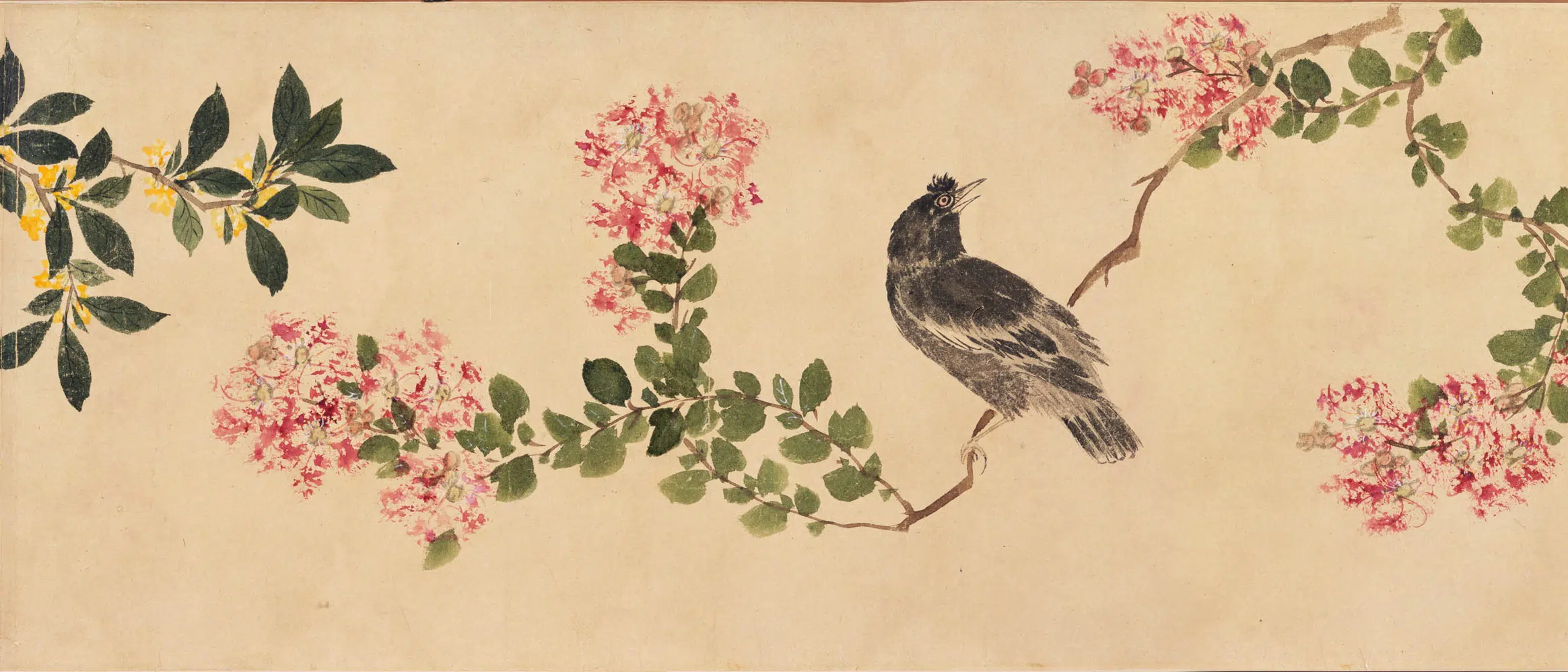 明朝【周之冕】《设色花鸟卷》 第3张
