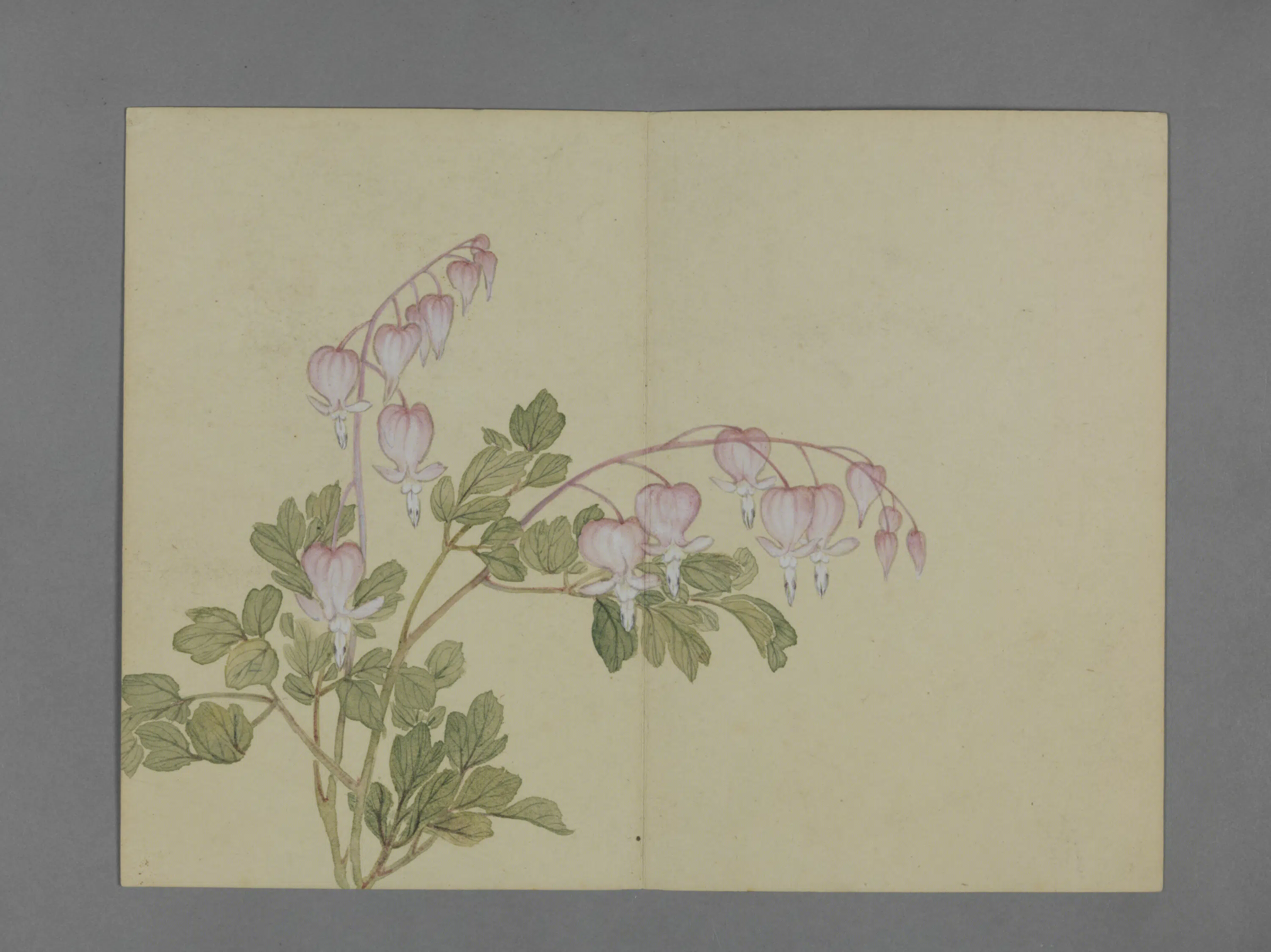 清代【蒋溥】《花卉图册（6开）》