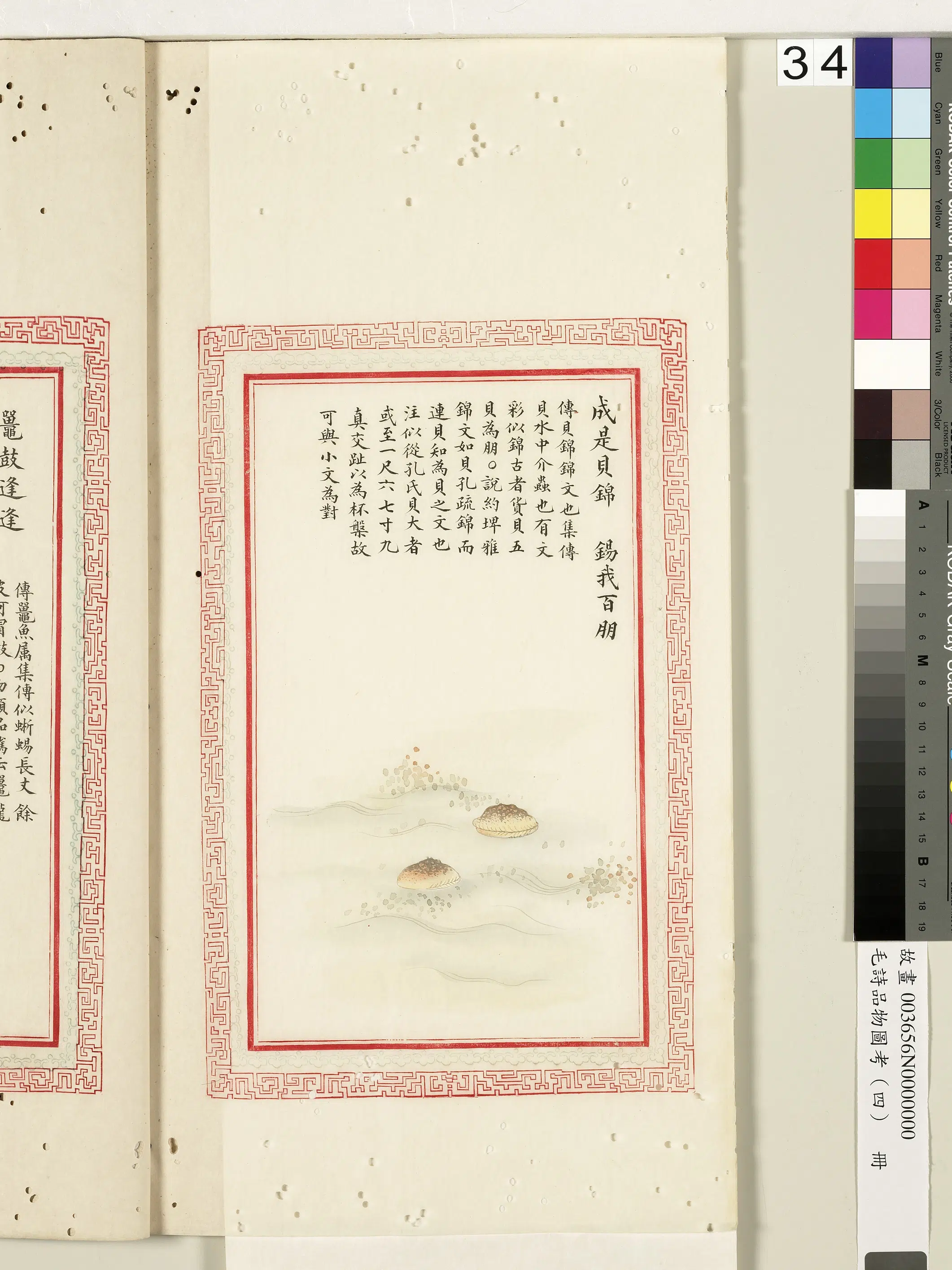 清朝【佚名】《毛诗品物图考（四）册-成是贝锦锡我百朋-1》