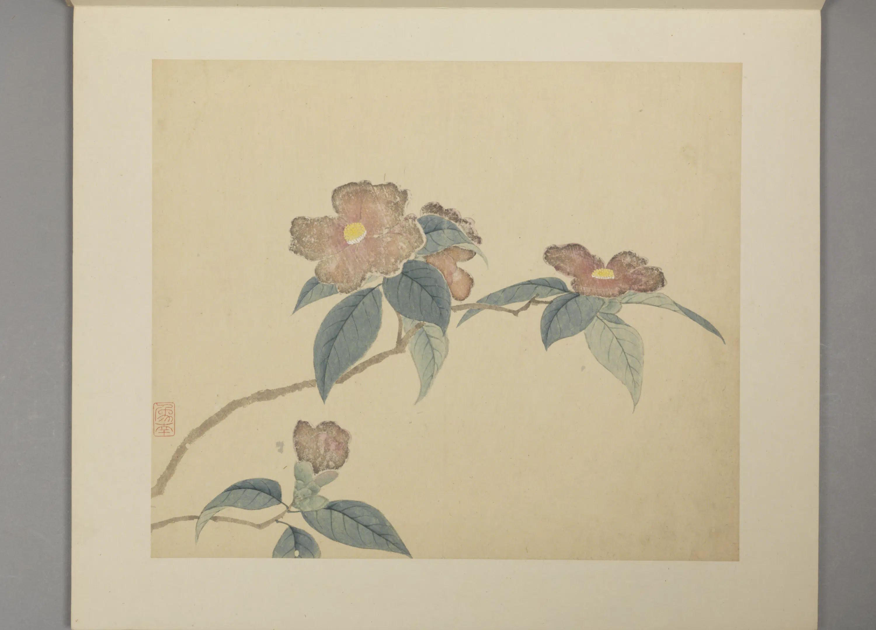 明朝【凌必正】《花鸟册》 第6张