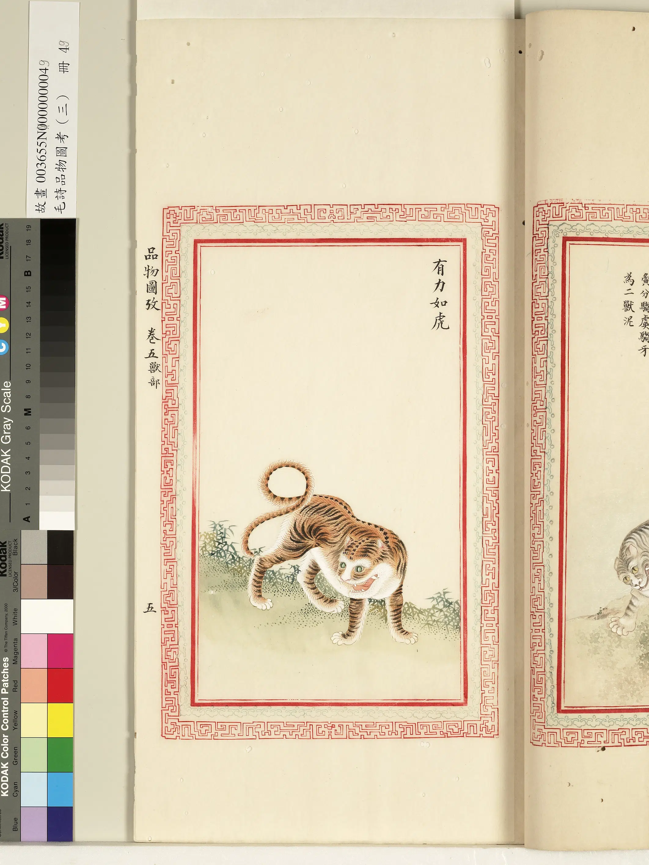 清代《毛诗品物图考(三)册-1》 第24张 清代《毛诗品物图考(三)册-1》 第24张