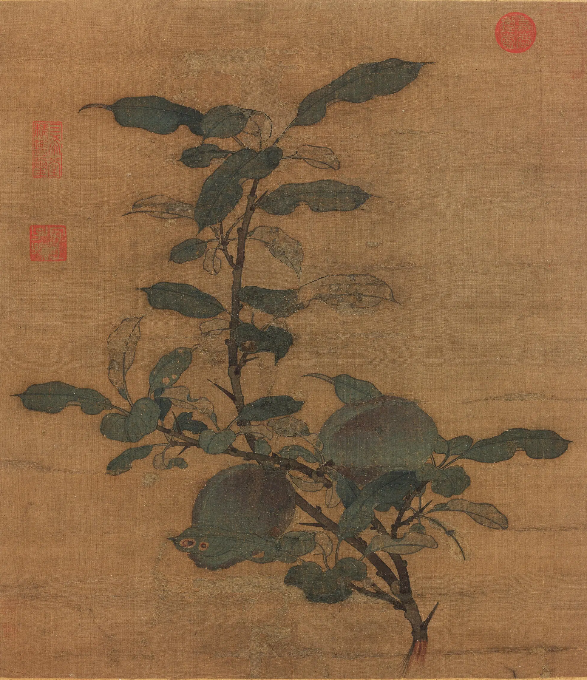 宋代【佚名】《宋人折枝果页》