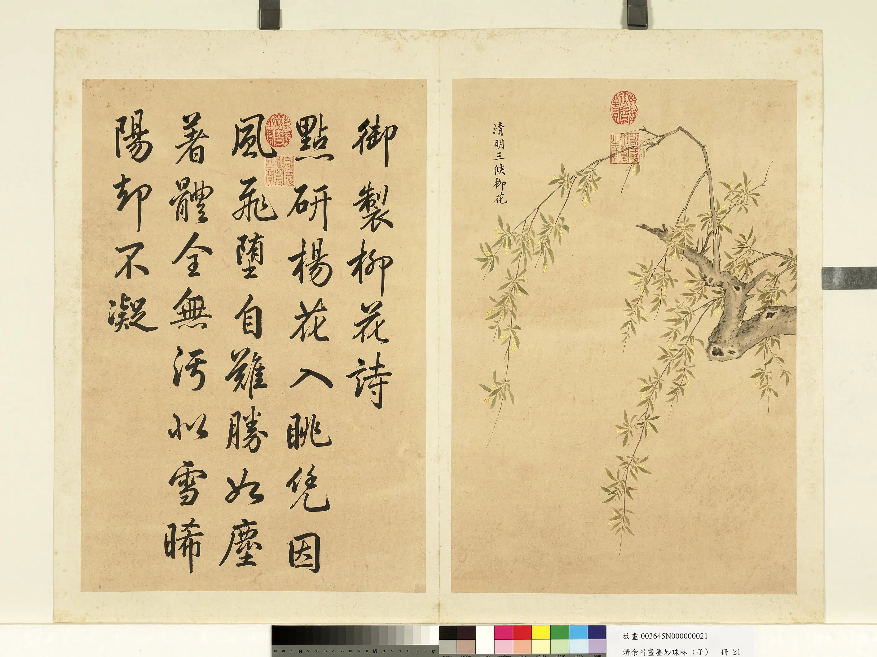 清代【余省】《画墨妙珠林（子）册》 第14张
