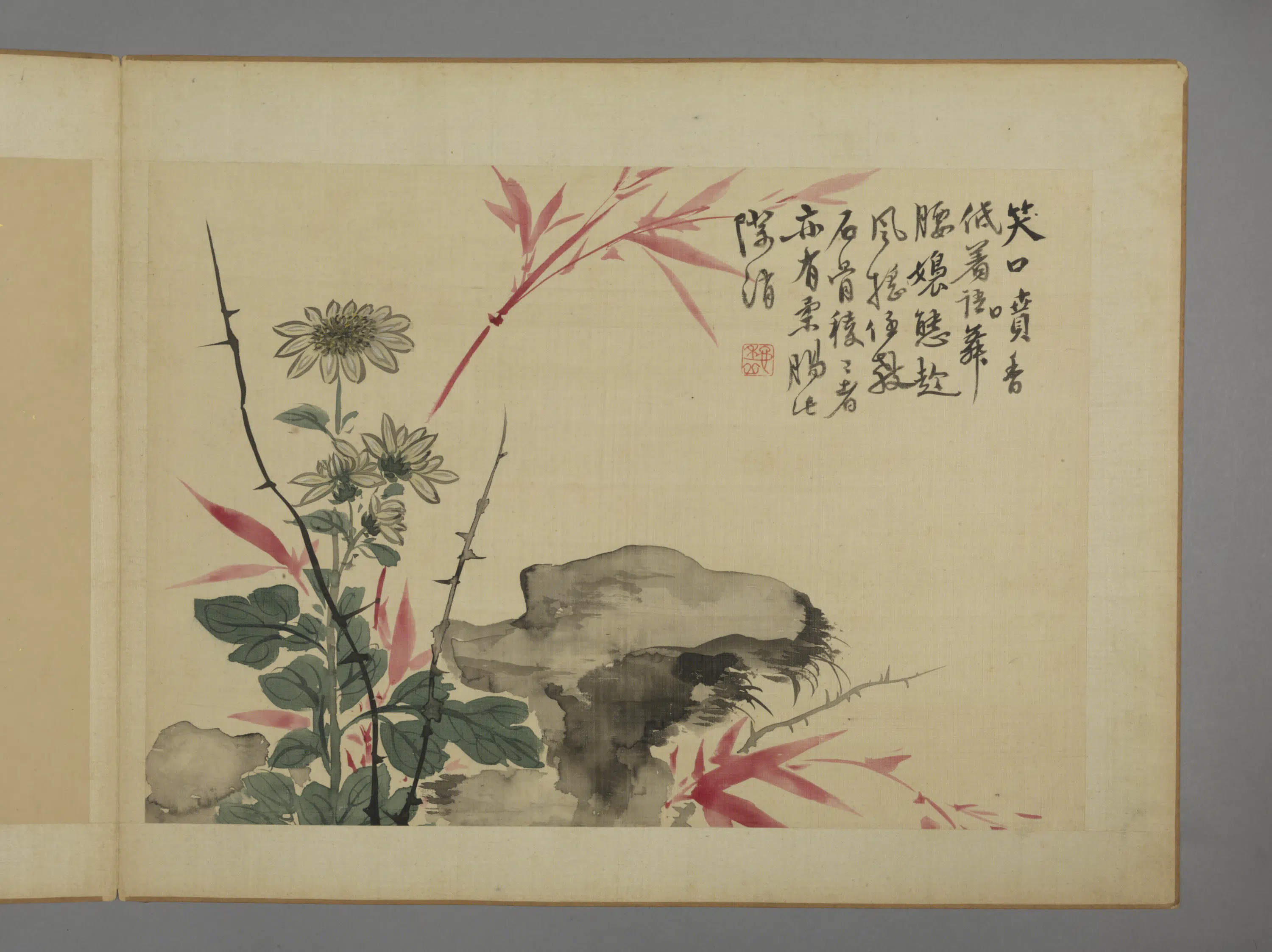 清代【华喦】《花卉图册（11开）》