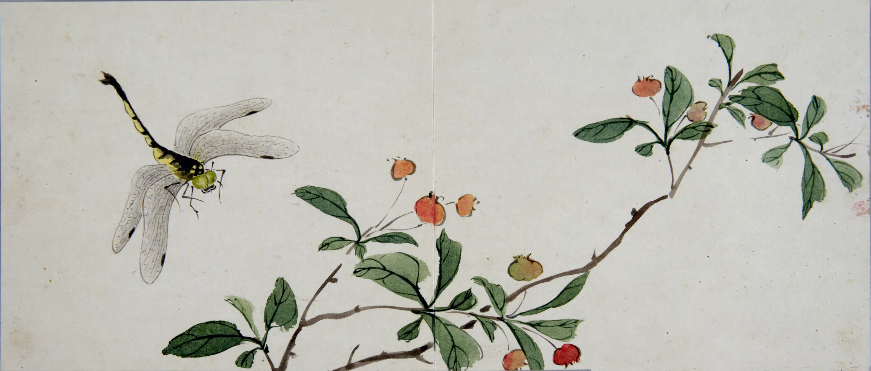 清代【黄钺】《化洽翾蜎图册》 第9张