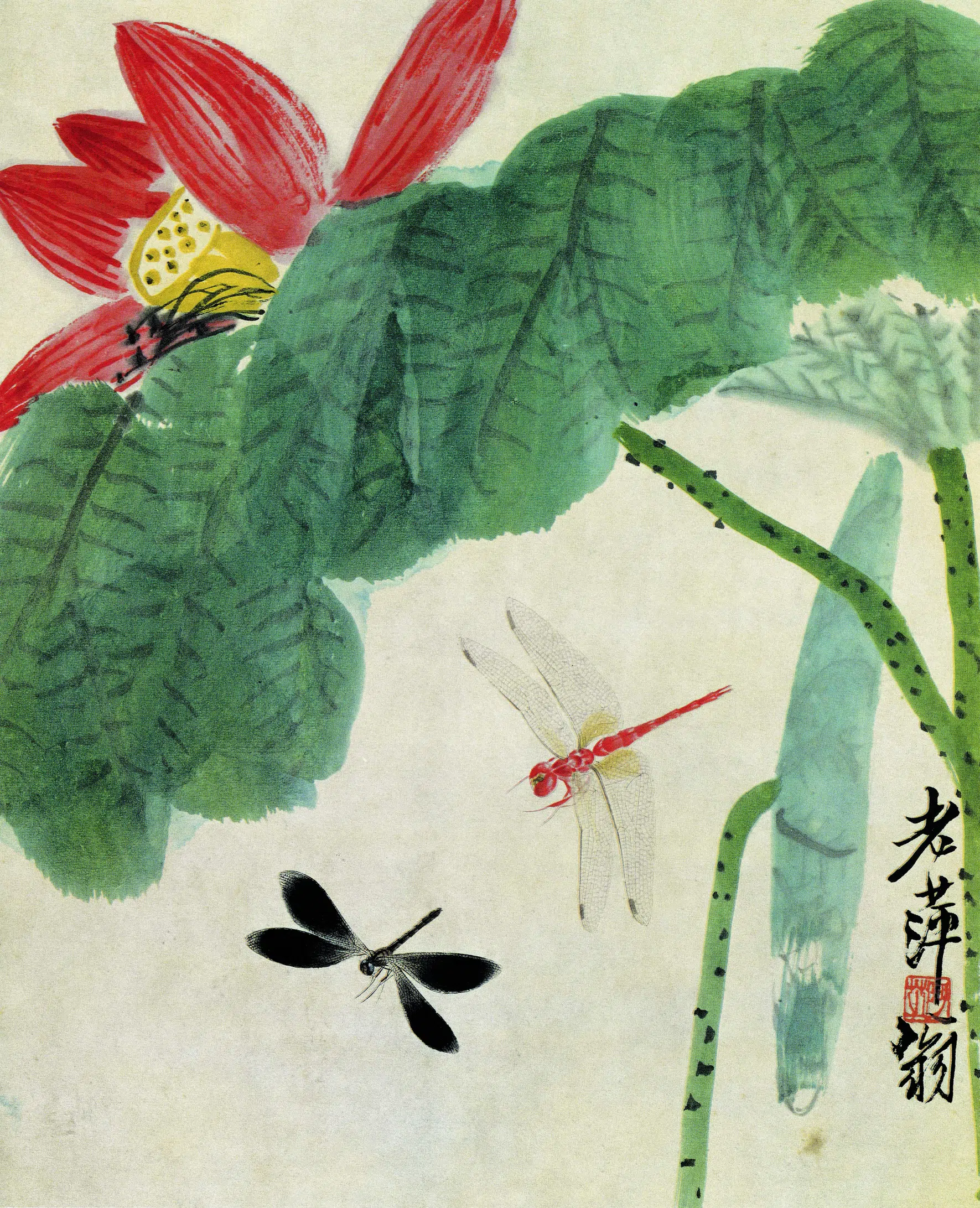 近现代【齐白石】《荷花蜻蜓》