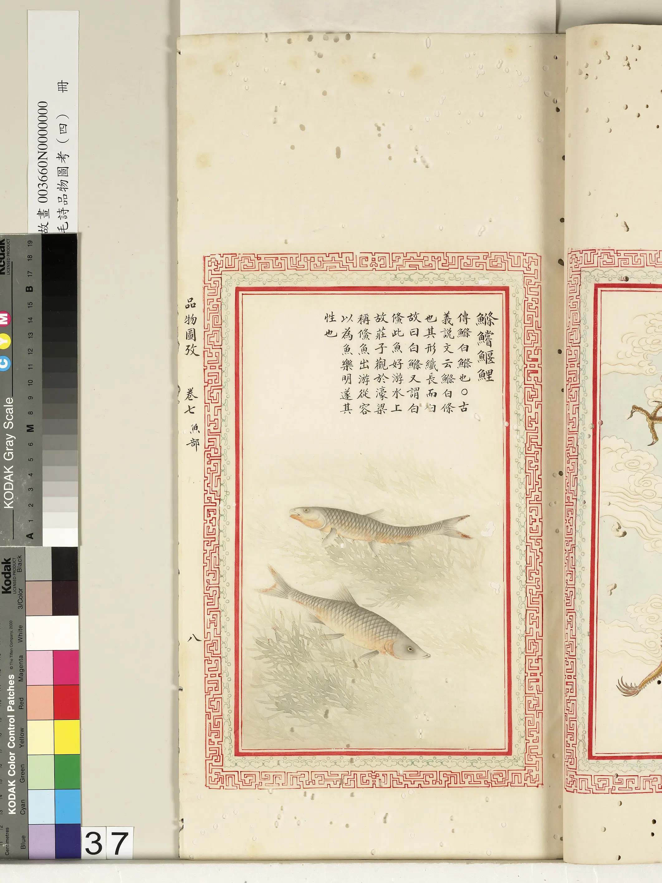 清代《毛诗品物图考(四)册-2》 第32张 清代《毛诗品物图考(四)册-2》 第32张
