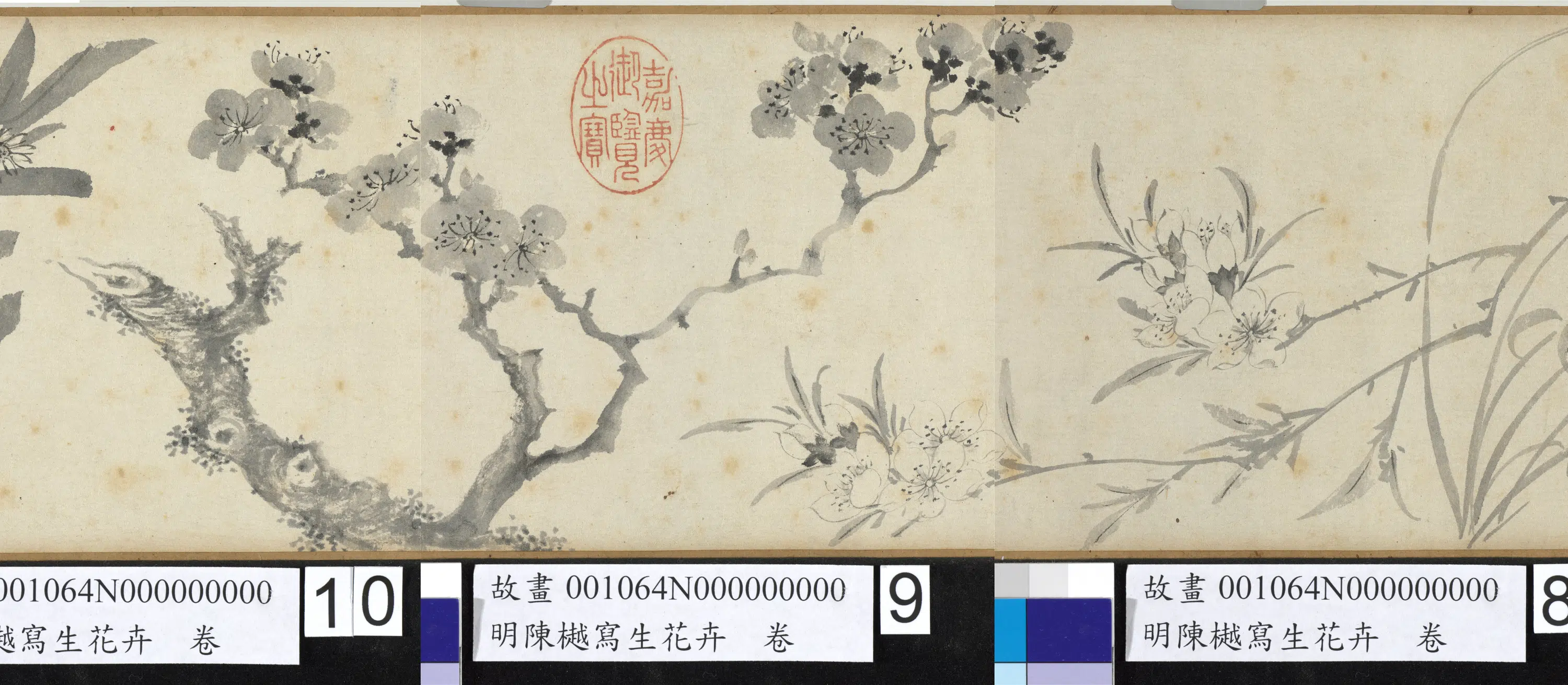 明朝【陈樾】《写生花卉卷前幅》 第2张