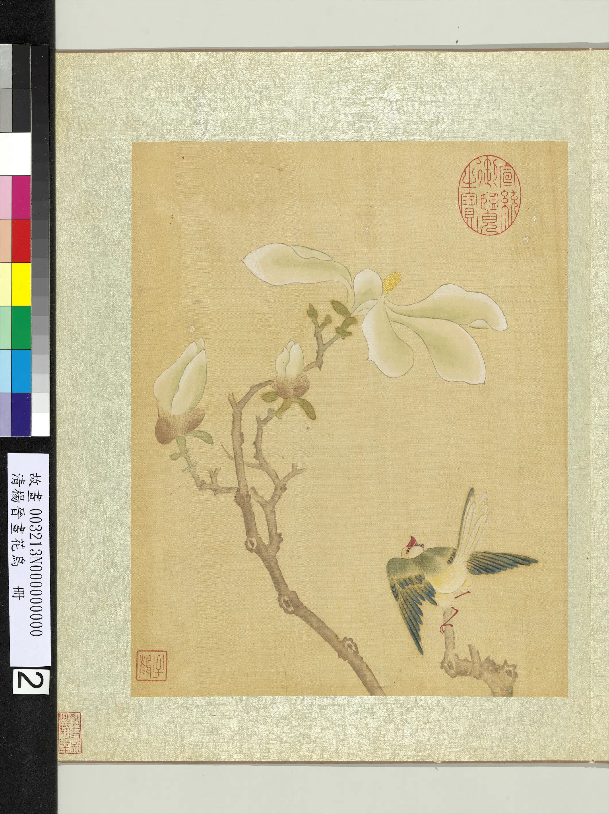 清代【杨晋】《画花鸟册-木兰翠雀》