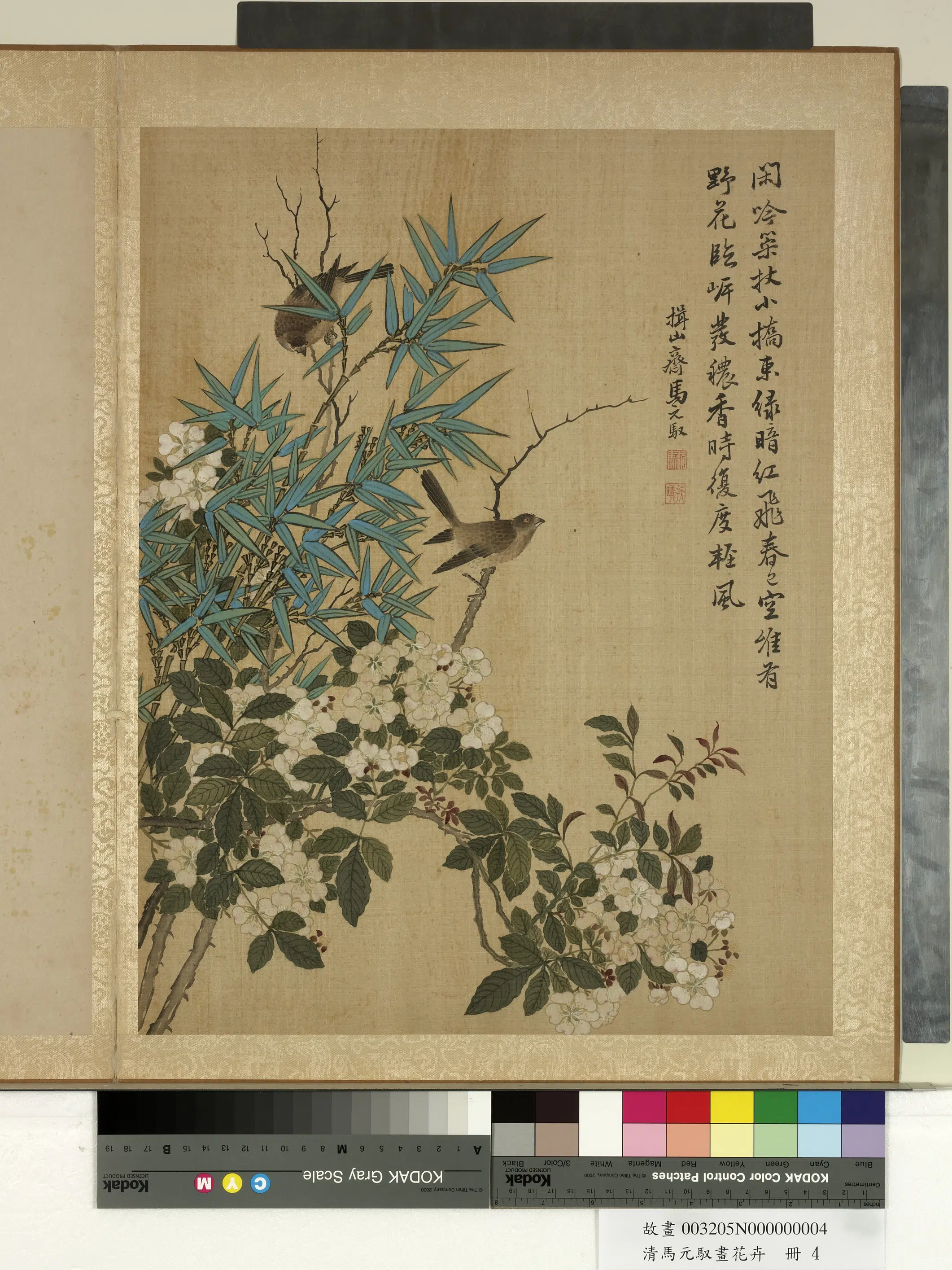 清朝【马元驭】《画花卉册》