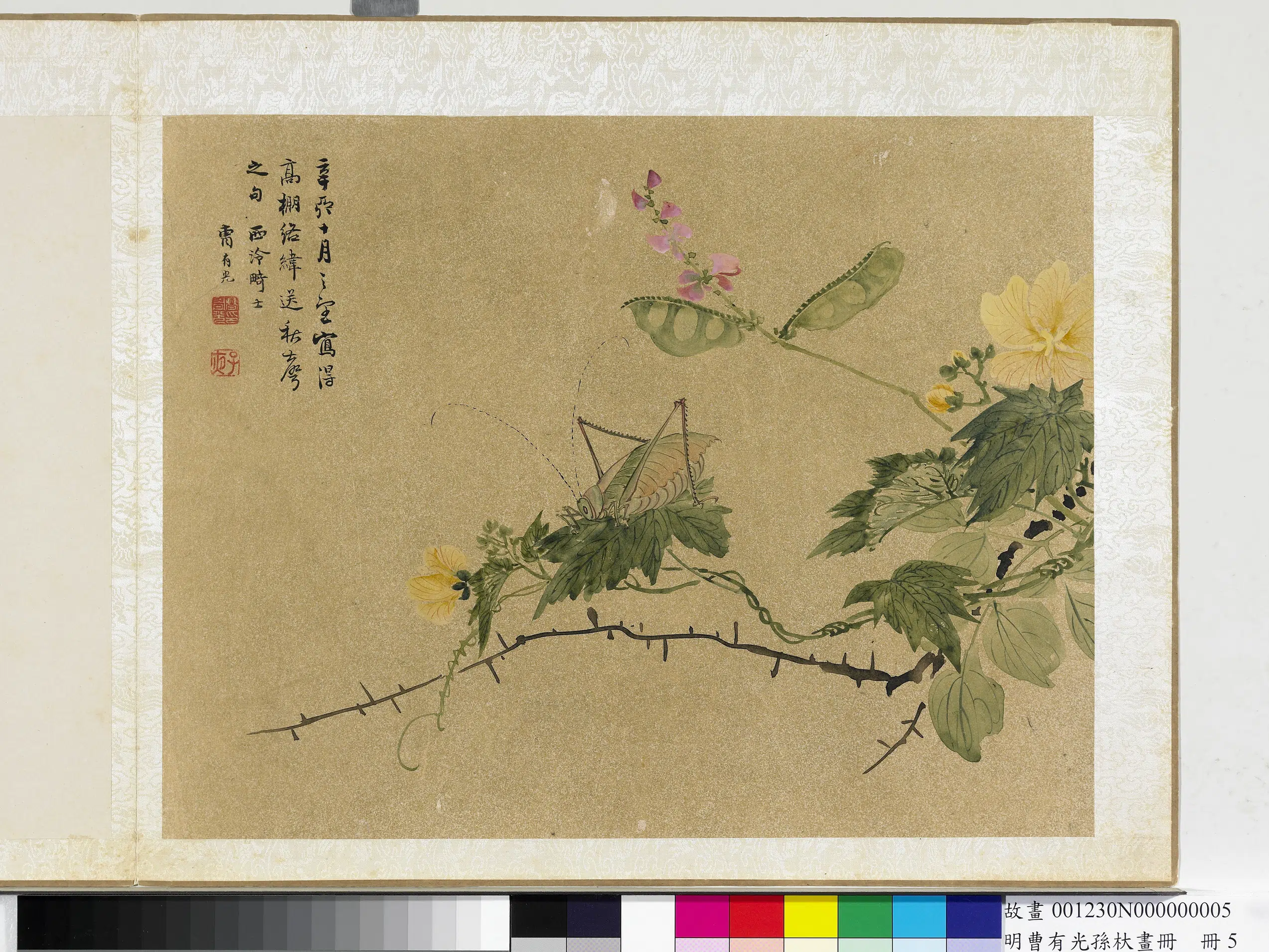 明朝【曹有光】《孙杕画册-野卉秋虫》