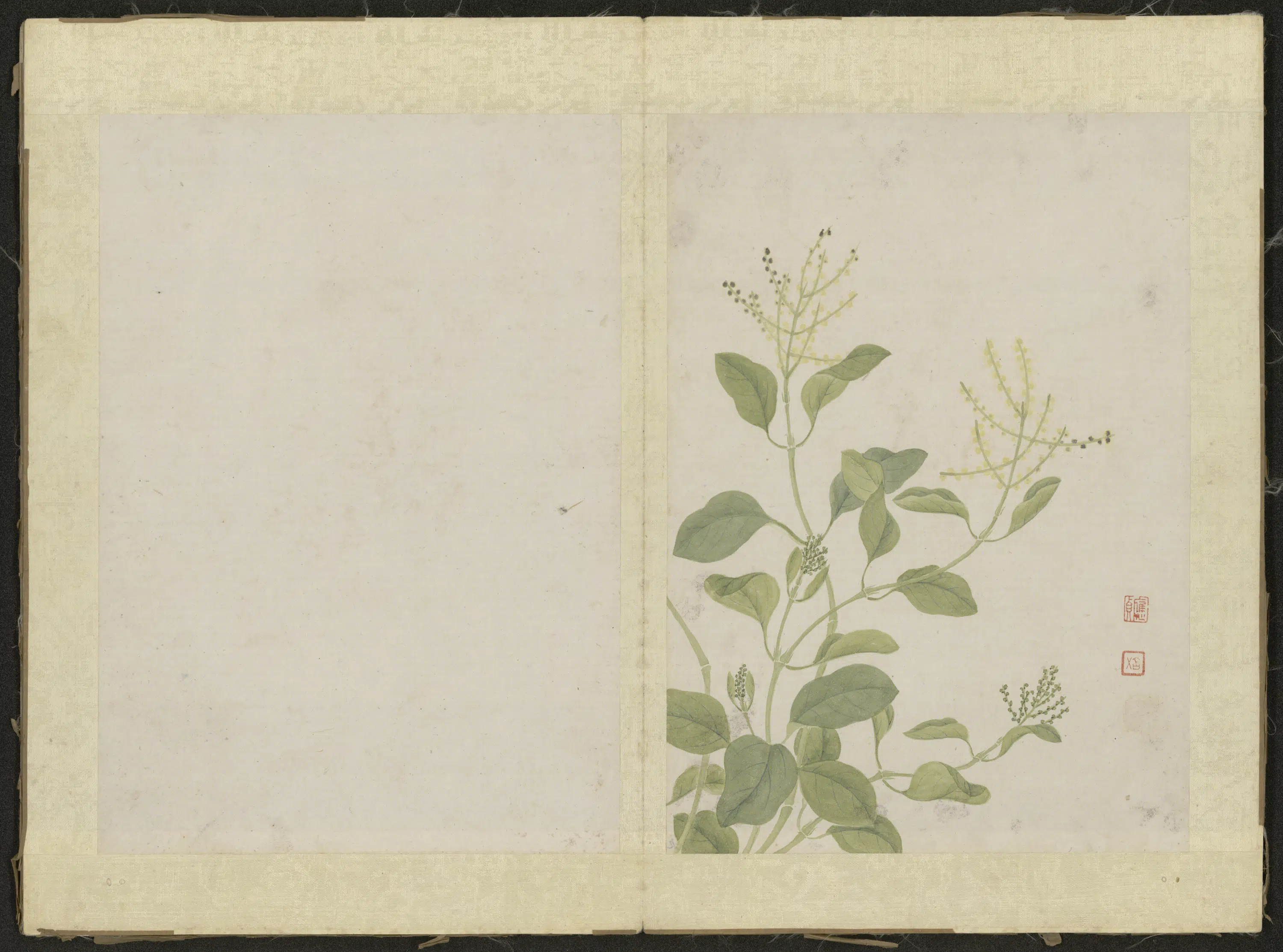 清代【吴应贞】《花卉册（12开）》 第2张
