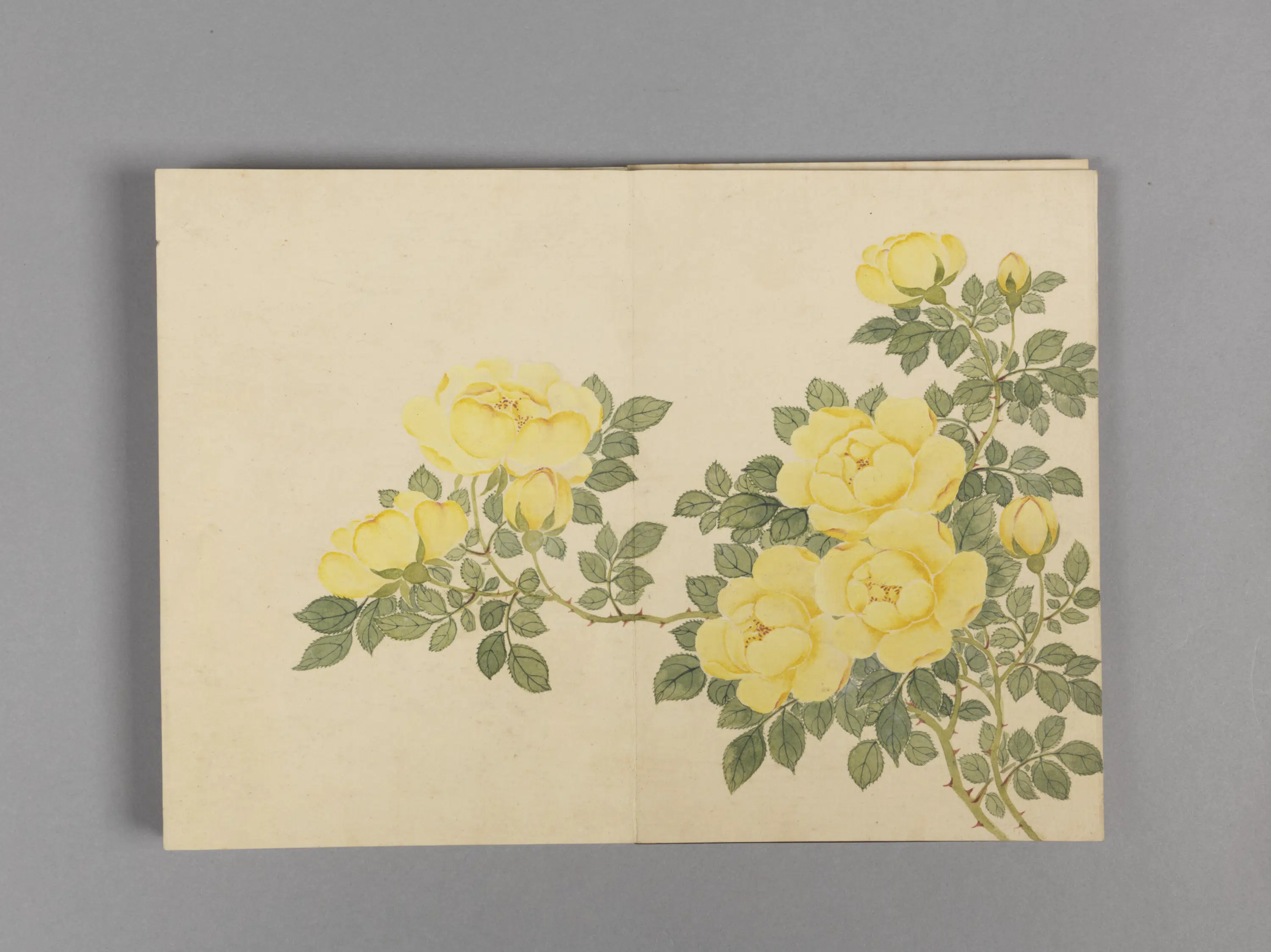 清代【董诰】《花卉小册（16开）》 第10张