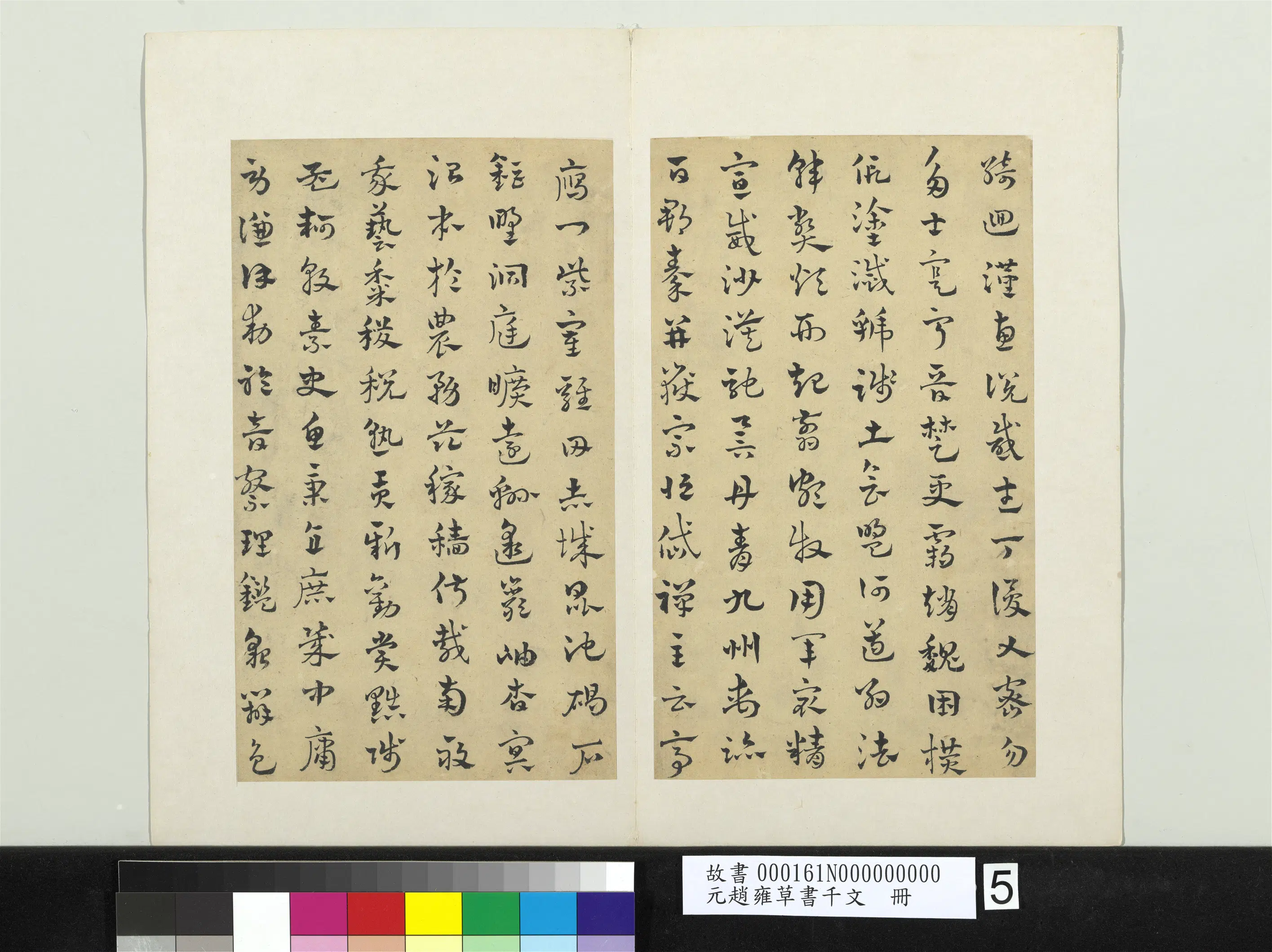 元朝【赵雍】《草书千文册》 第5张 元朝【赵雍】《草书千文册》 第5张