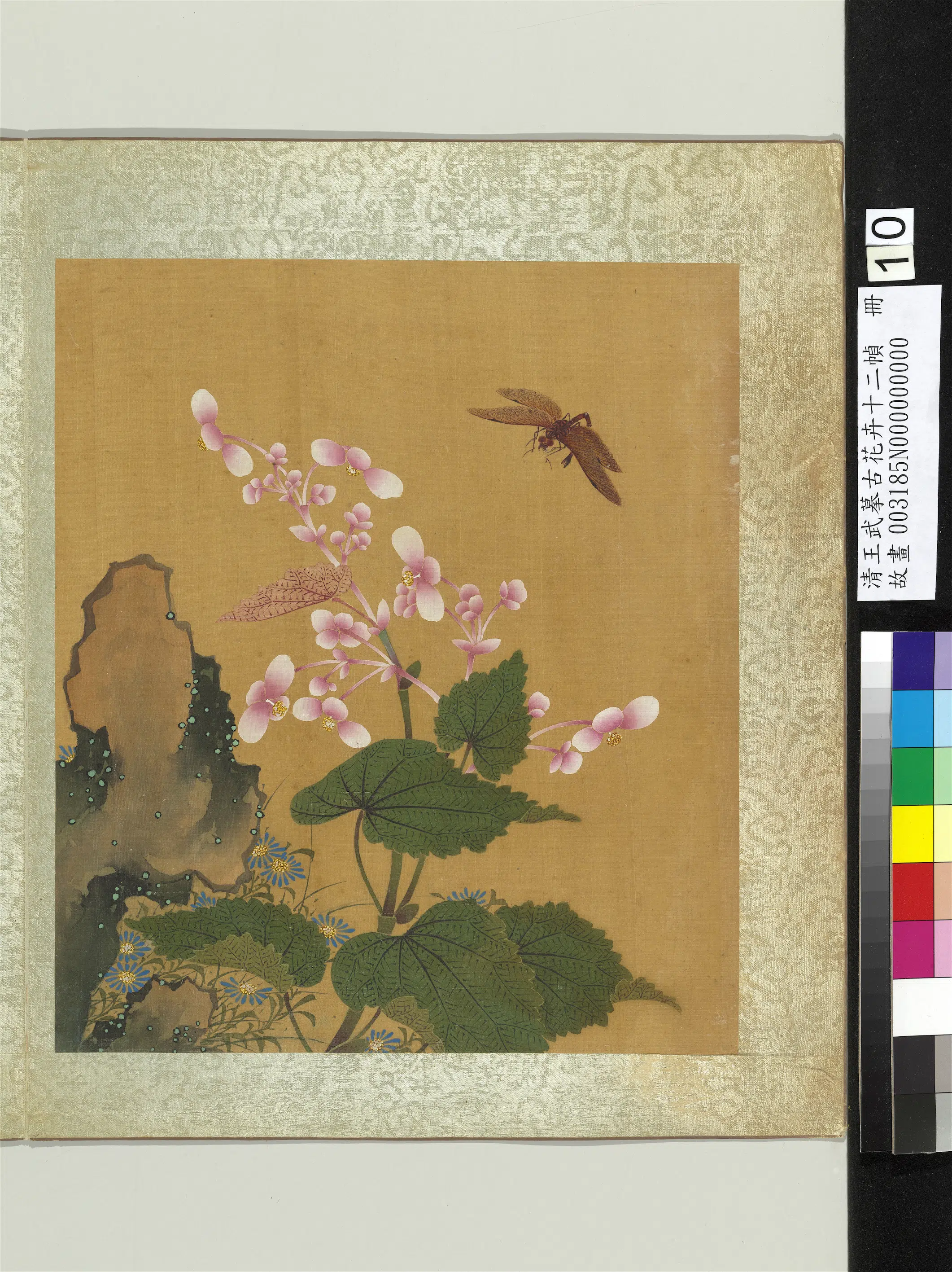 清代【王武】《摹古花卉十二帧册-海棠蓝菊》