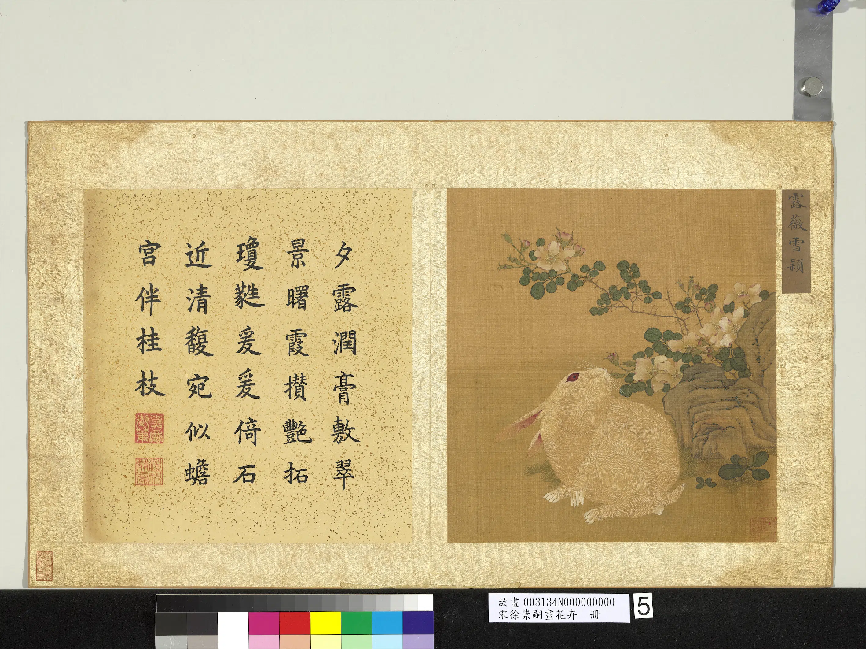 宋朝【徐崇嗣】《画花卉册》 第11张