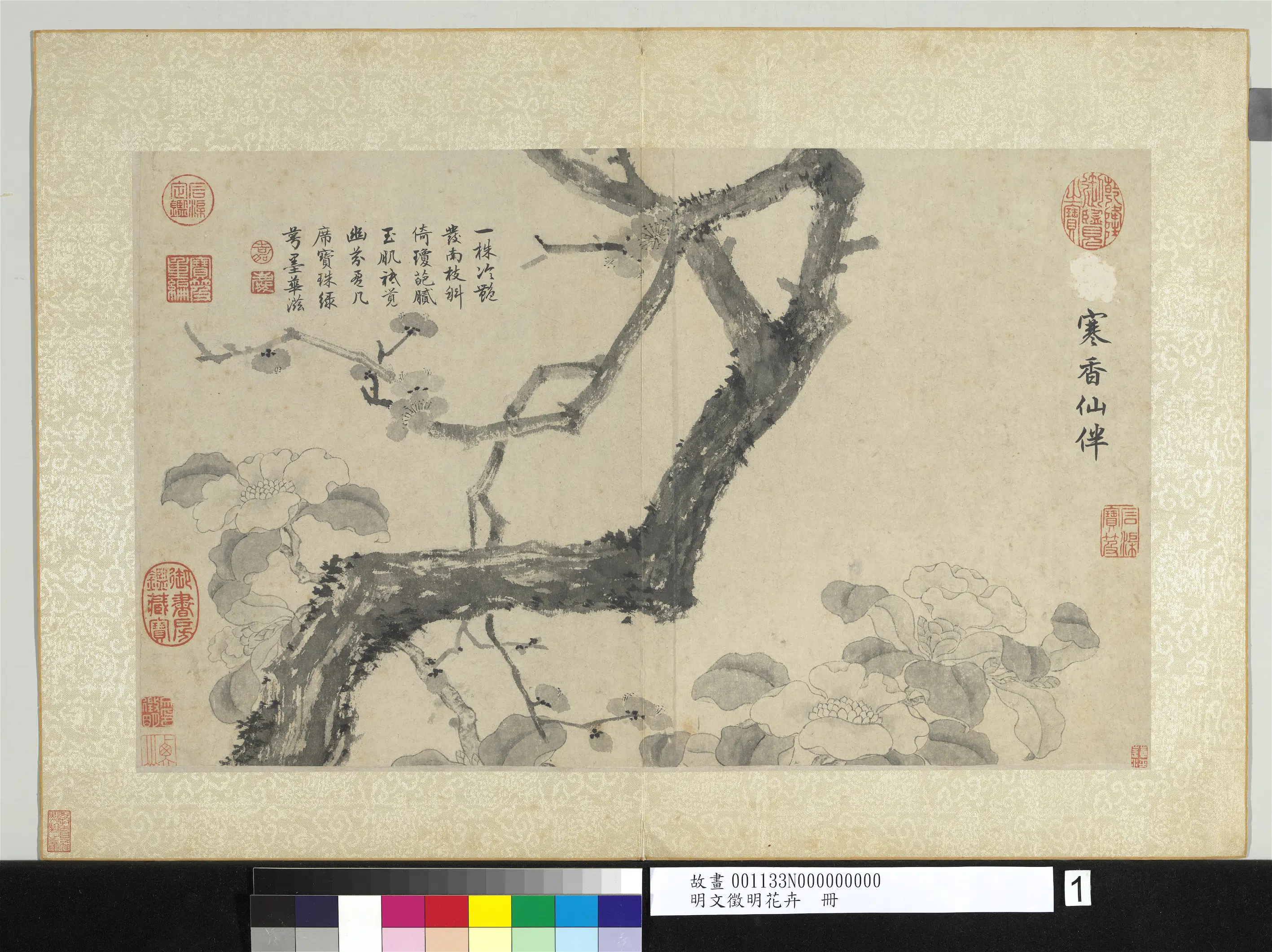 明朝【文征明徵明】《花卉册》 第4张 明朝【文征明徵明】《花卉册》 第4张