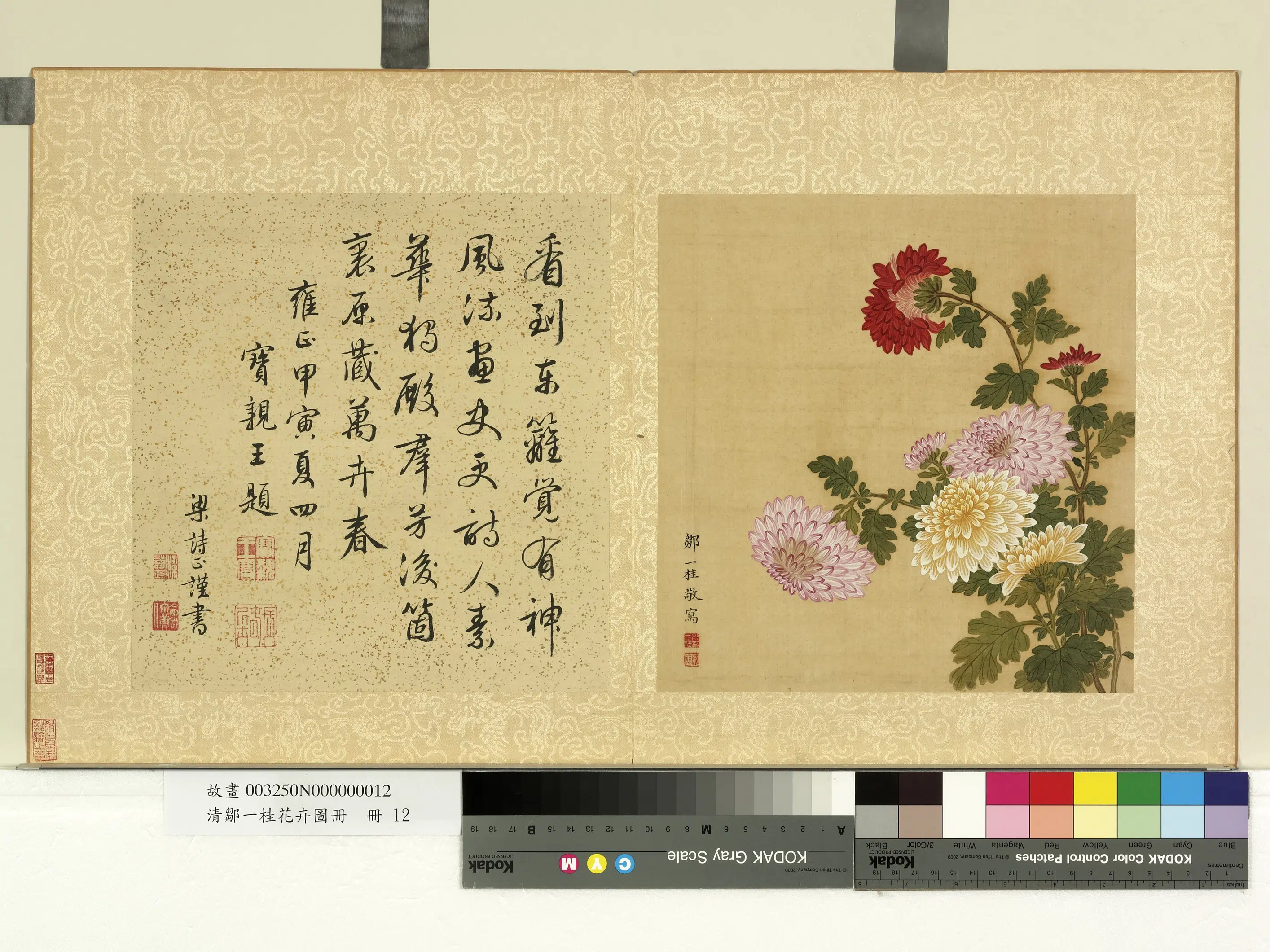 清代【邹一桂】《花卉画册》 第10张 清代【邹一桂】《花卉画册》 第10张