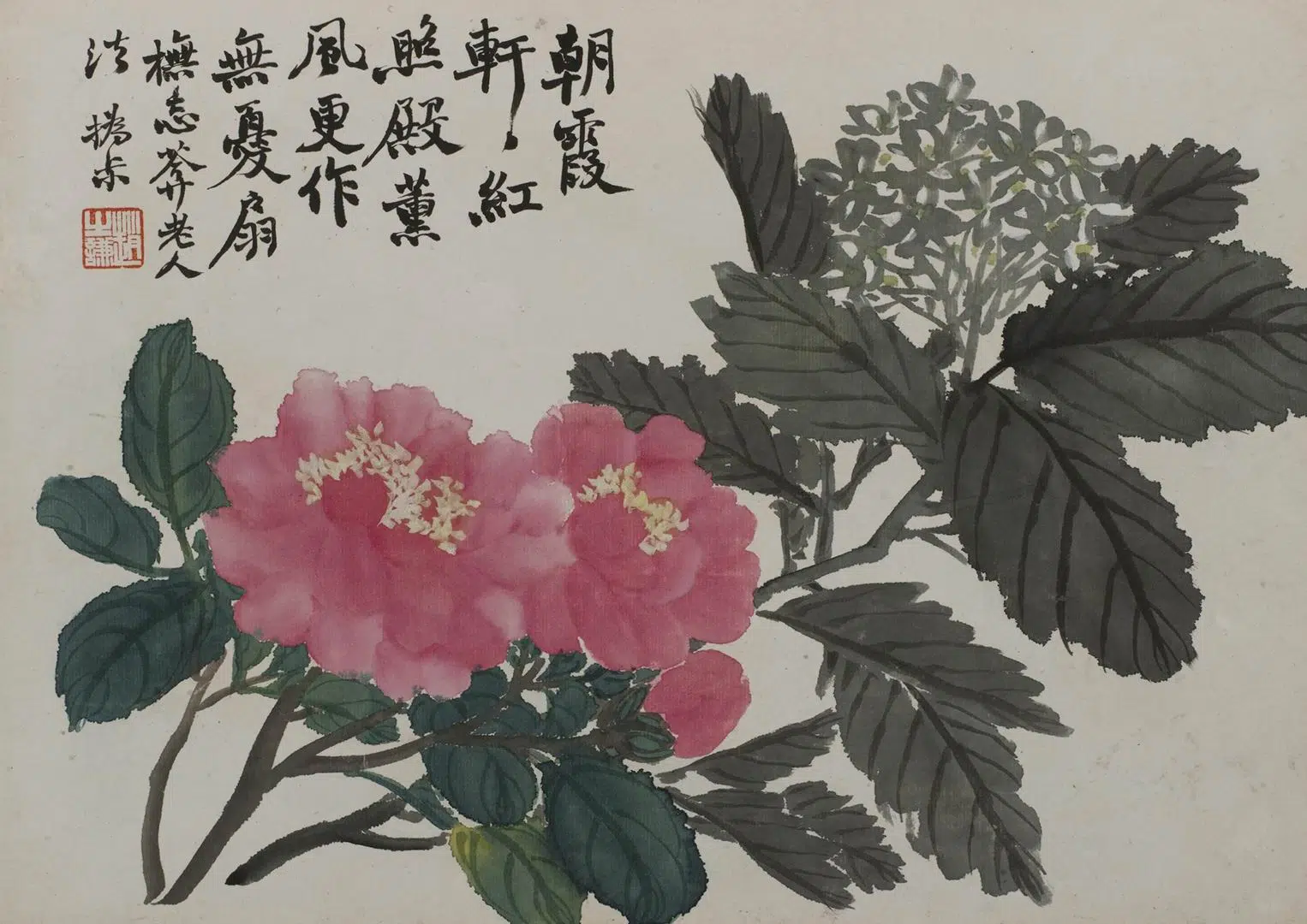 清代【赵之谦】《花卉册》 第2张